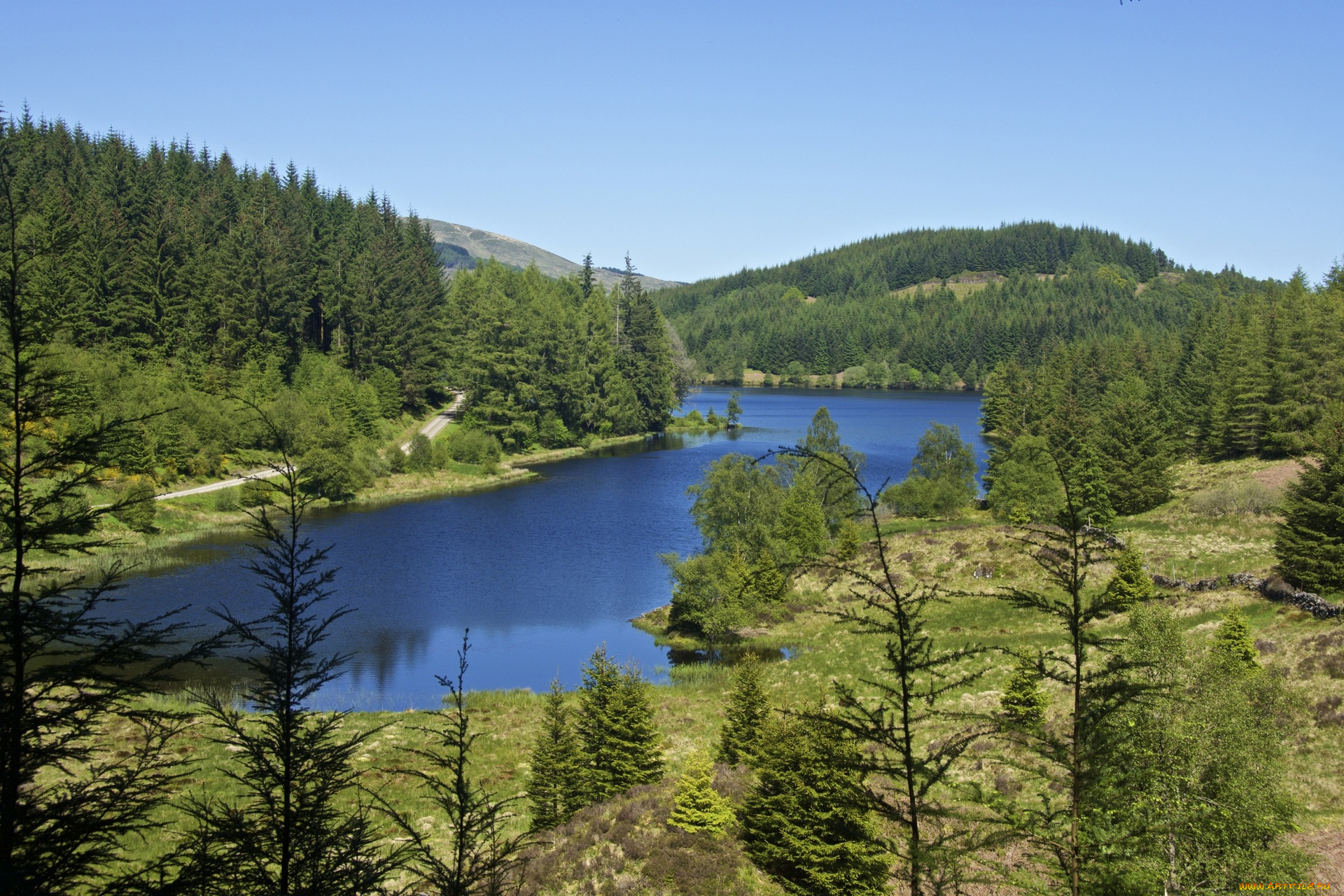 природа, реки, озера, водоем, деревья, ели, холмы