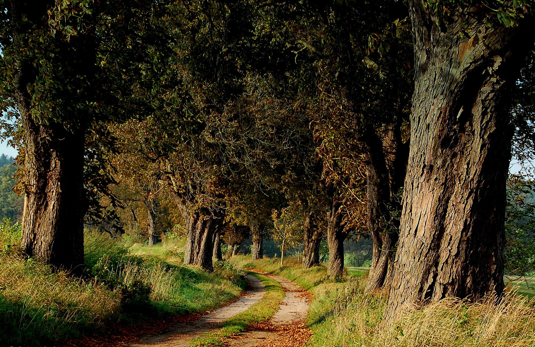 природа, дороги, тракт