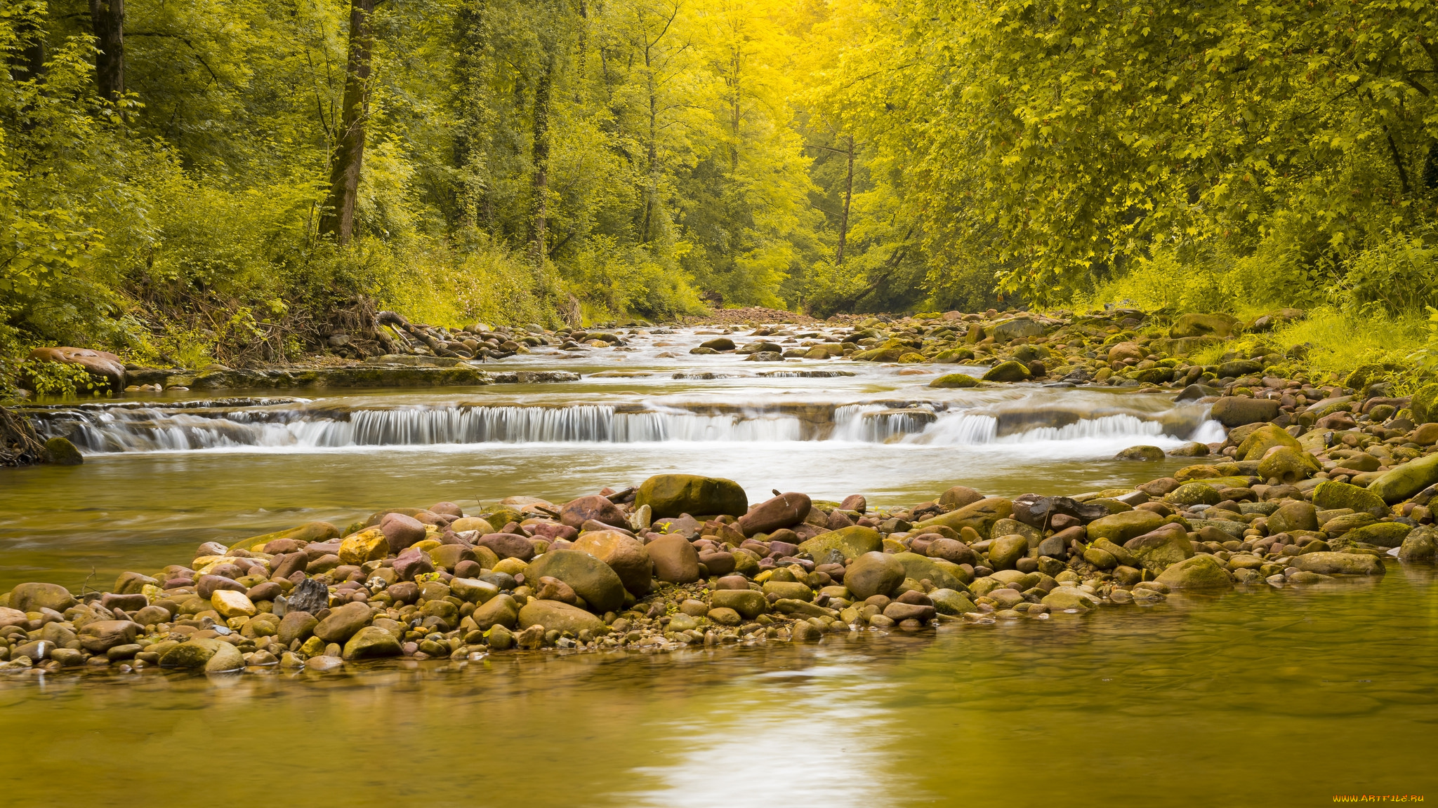 природа, реки, озера, лес, река