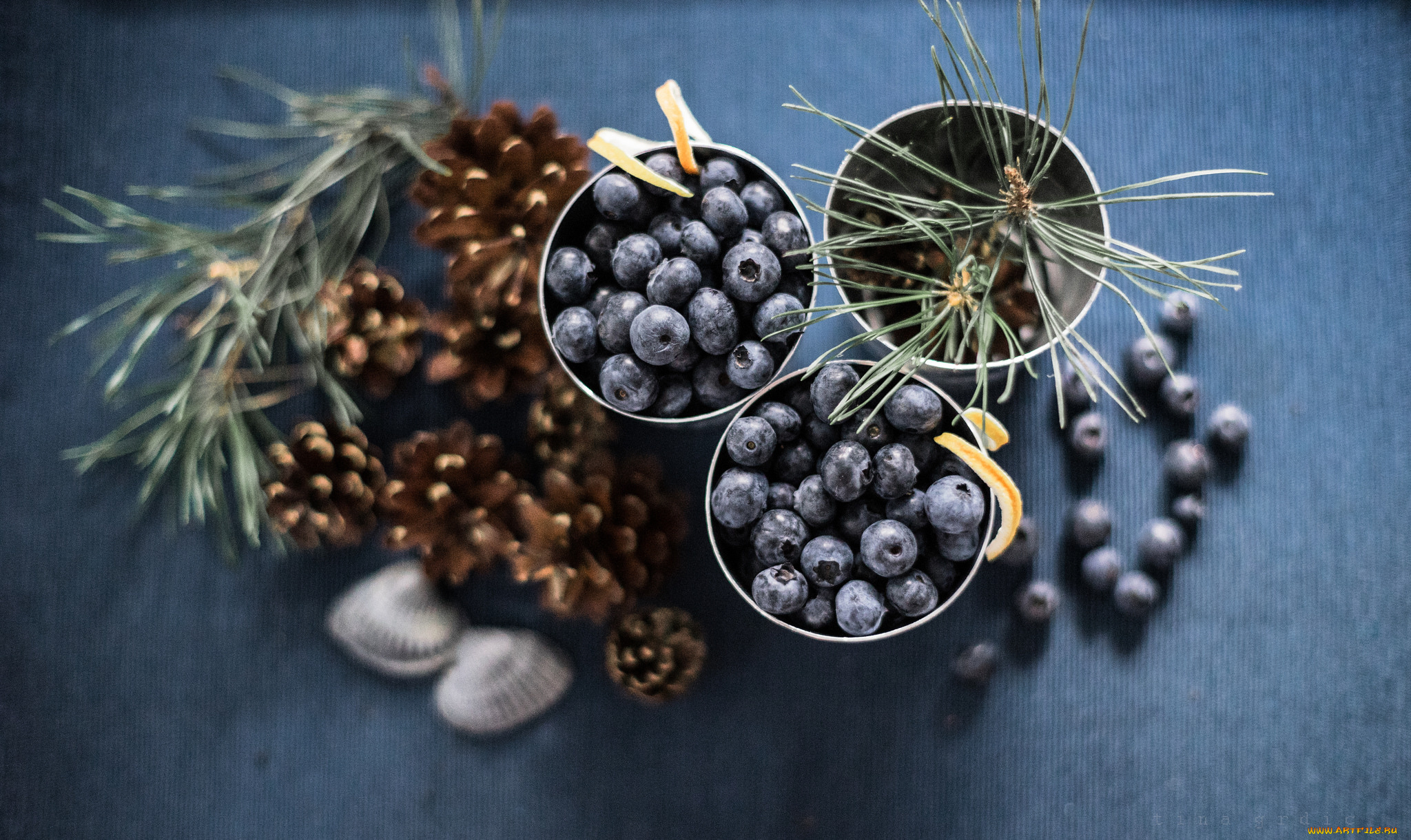 еда, голубика, , черника, шишка, ягода, черника