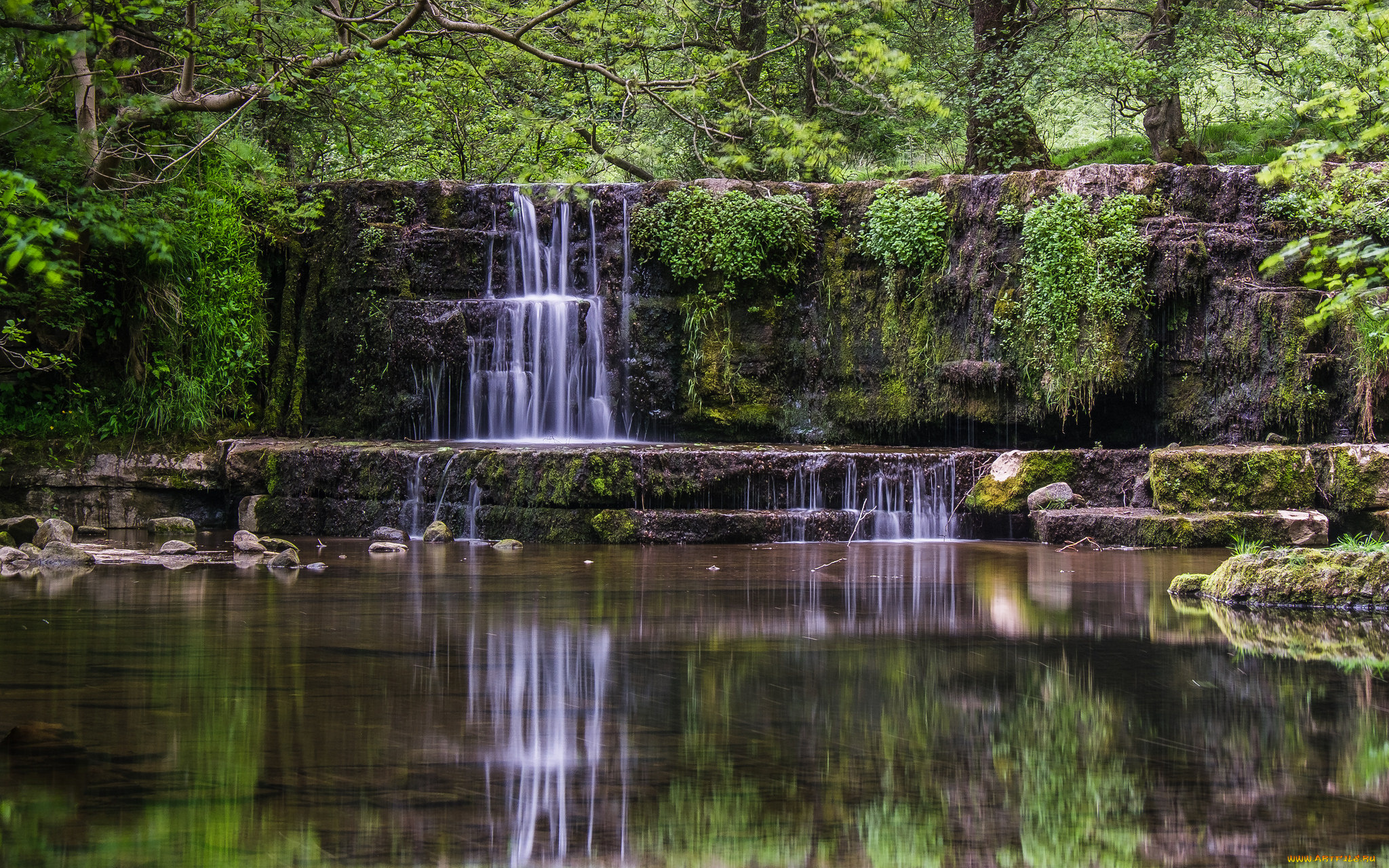 природа, водопады, река, водопад, лес
