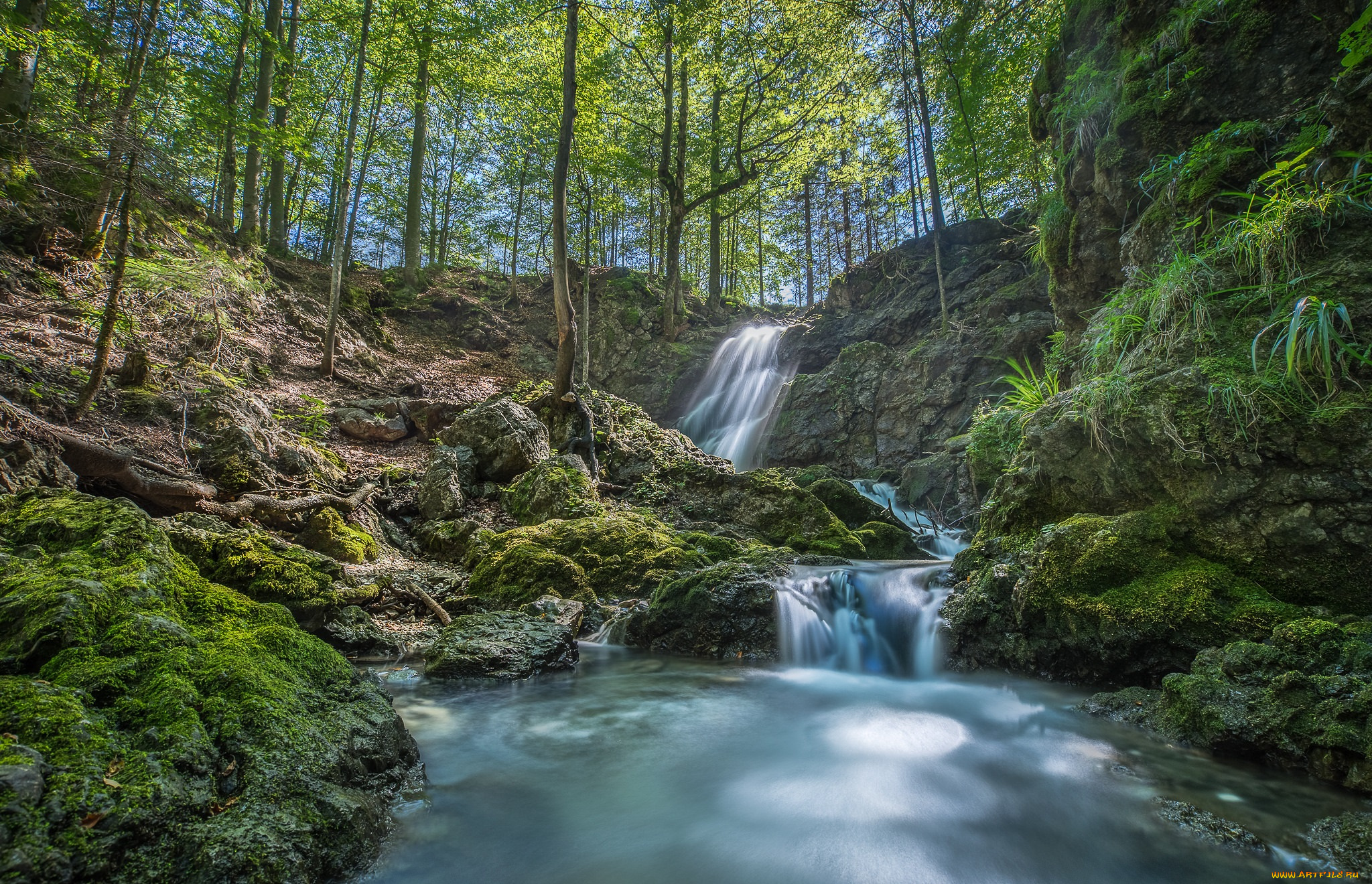 природа, водопады, водопад, река, лес