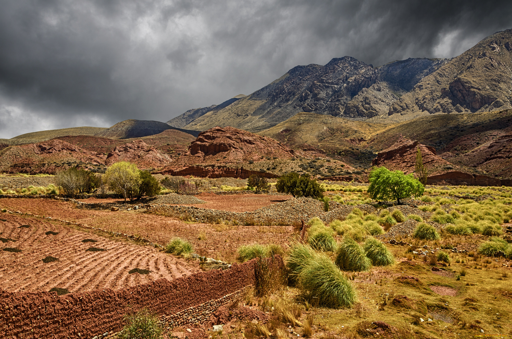 природа, горы, простор