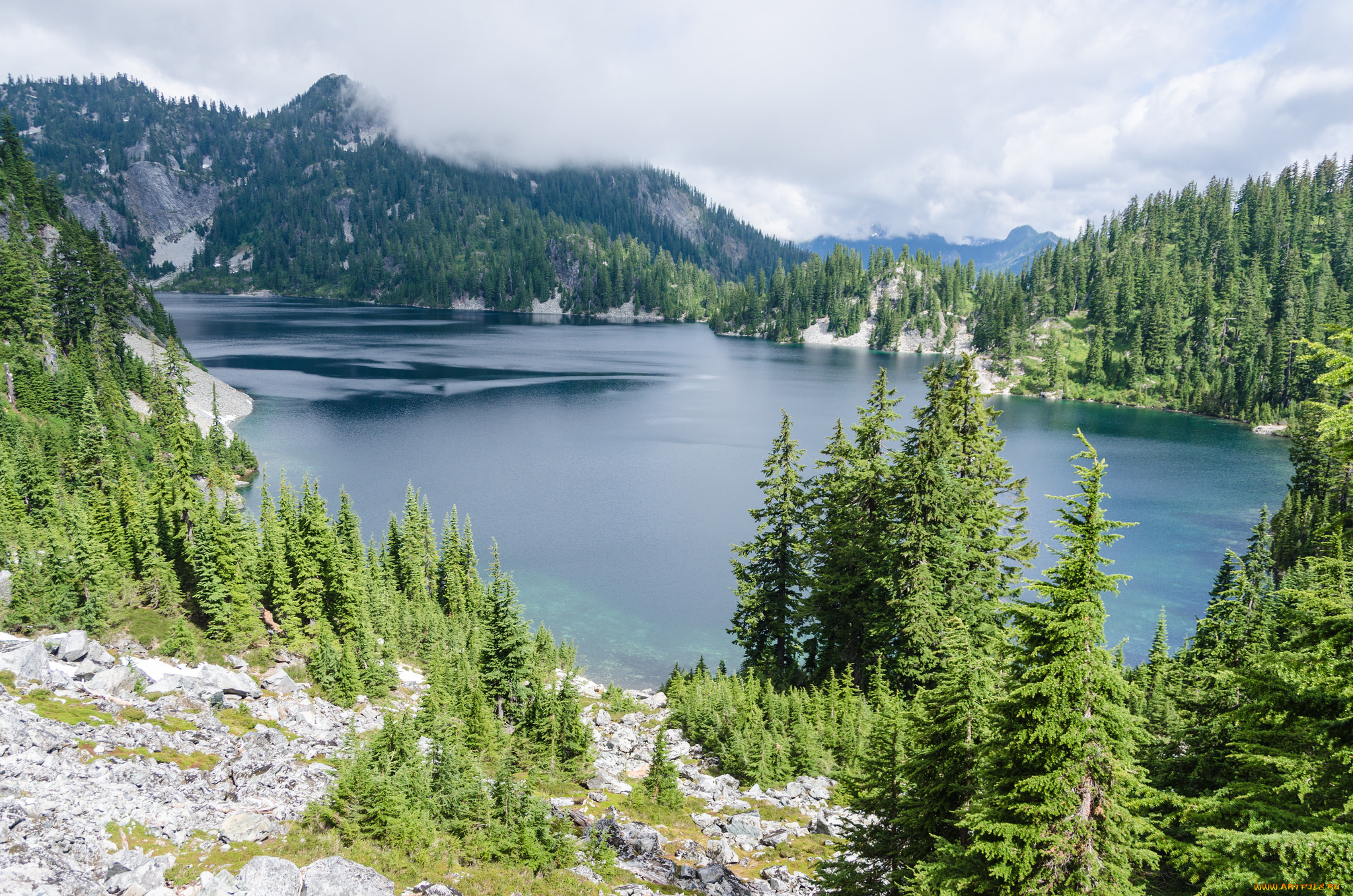 природа, реки, озера, река, лес