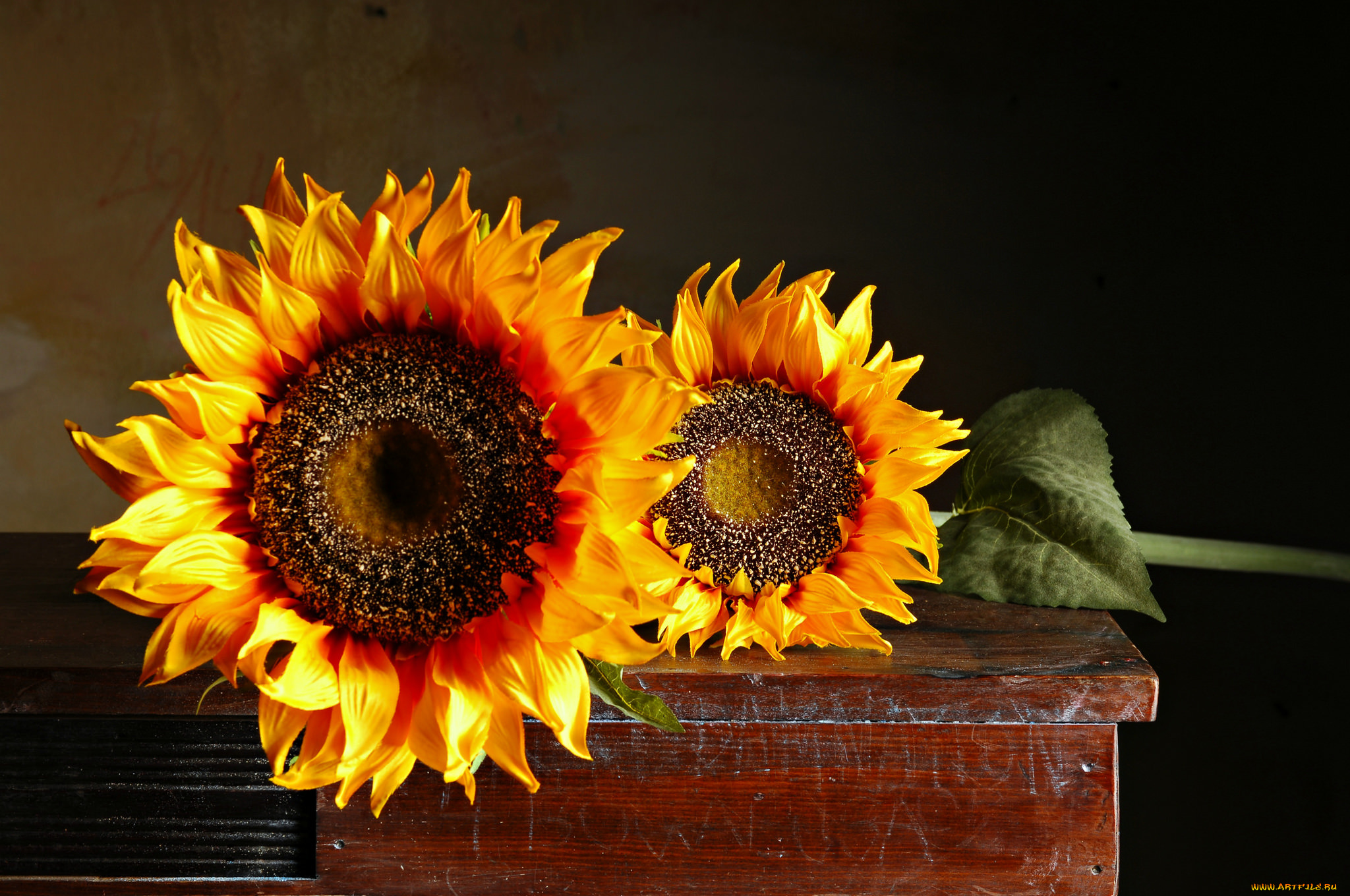 цветы, подсолнухи, ярко, лепестки, подсолнух, цветение