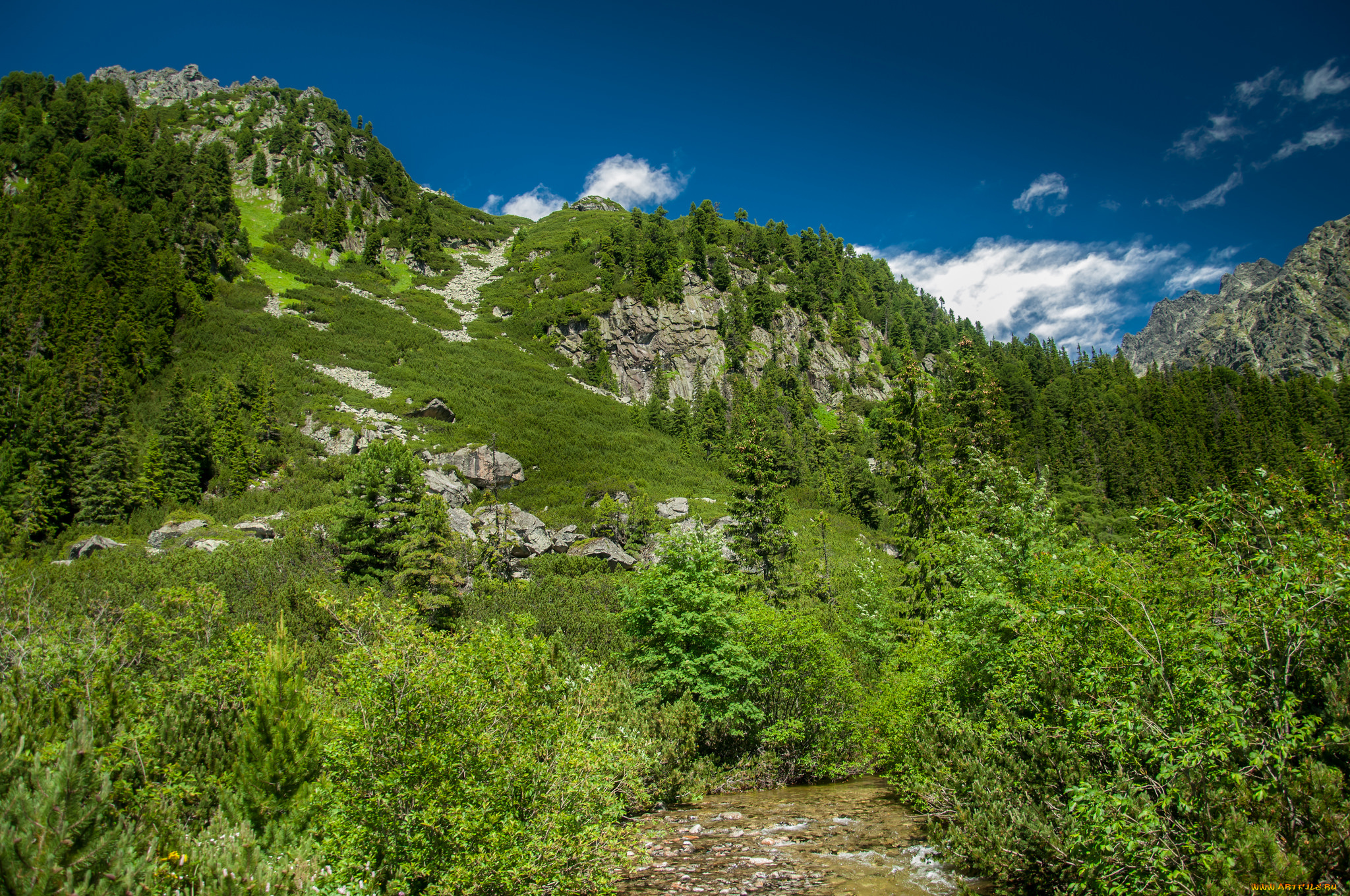 природа, горы, простор