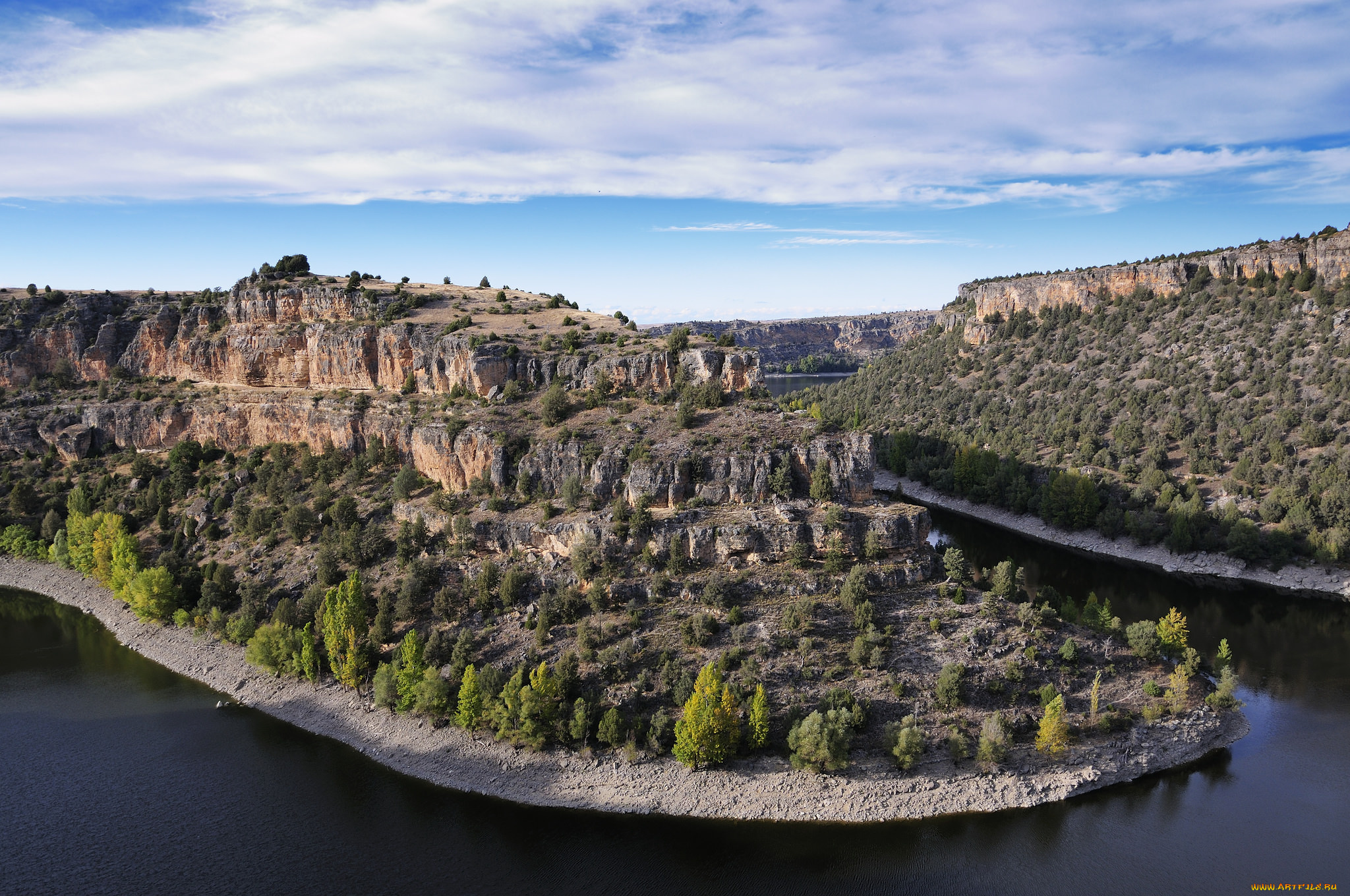 природа, реки, озера, лес, река