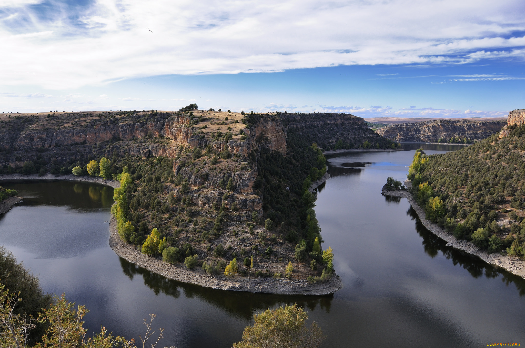 природа, реки, озера, лес, река