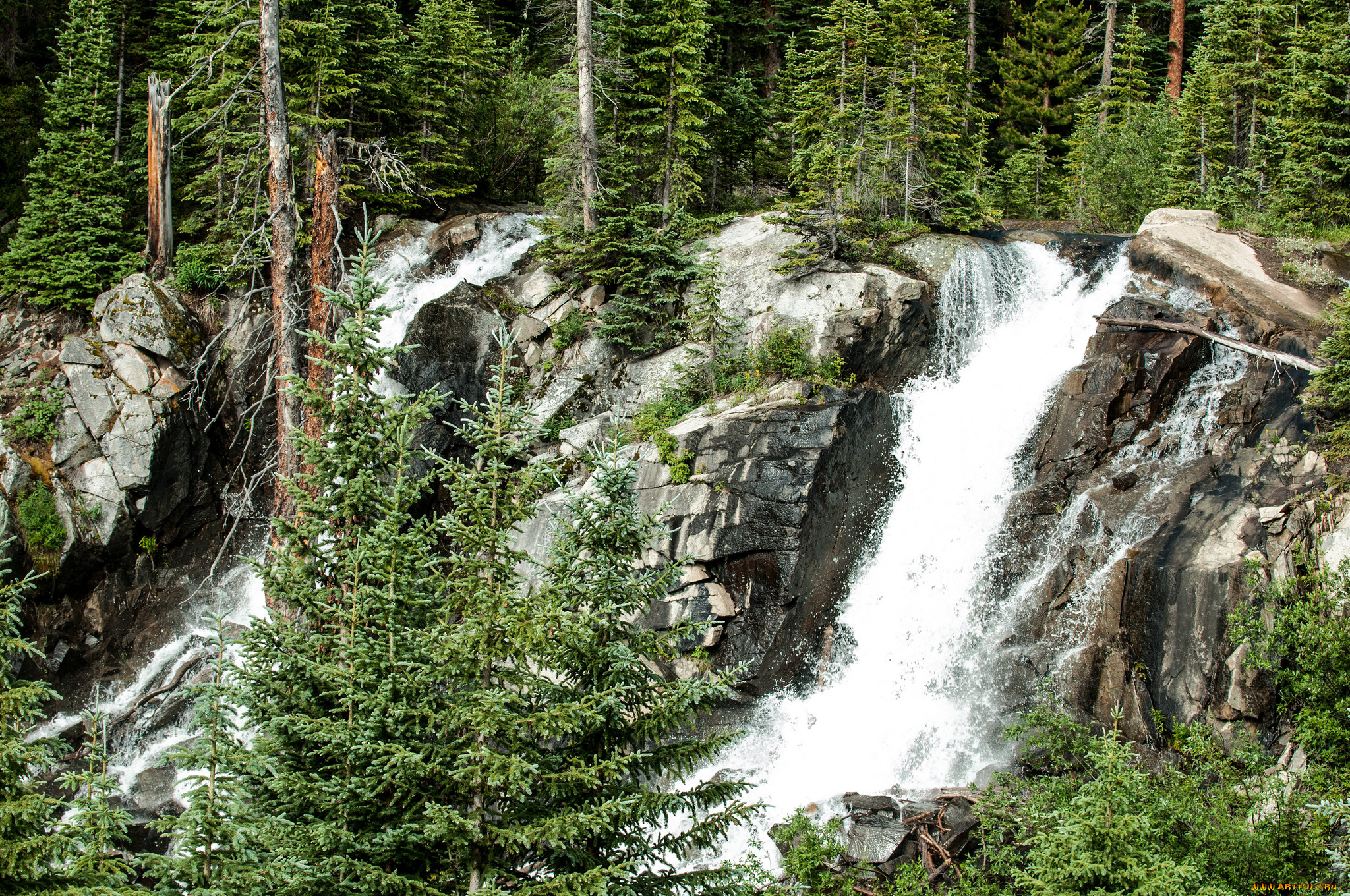 природа, водопады, водопад, лес, река