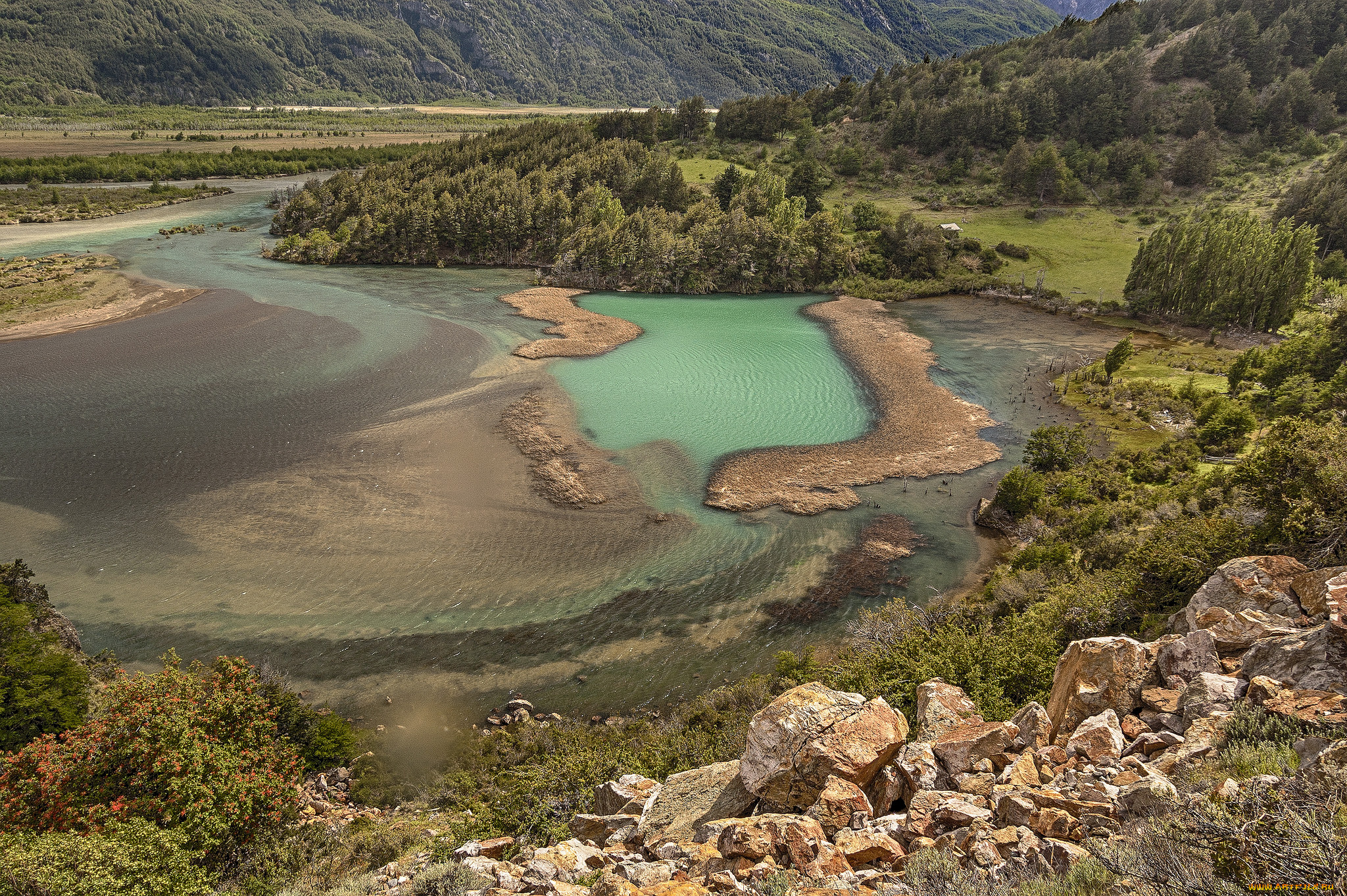 природа, реки, озера, река, лес