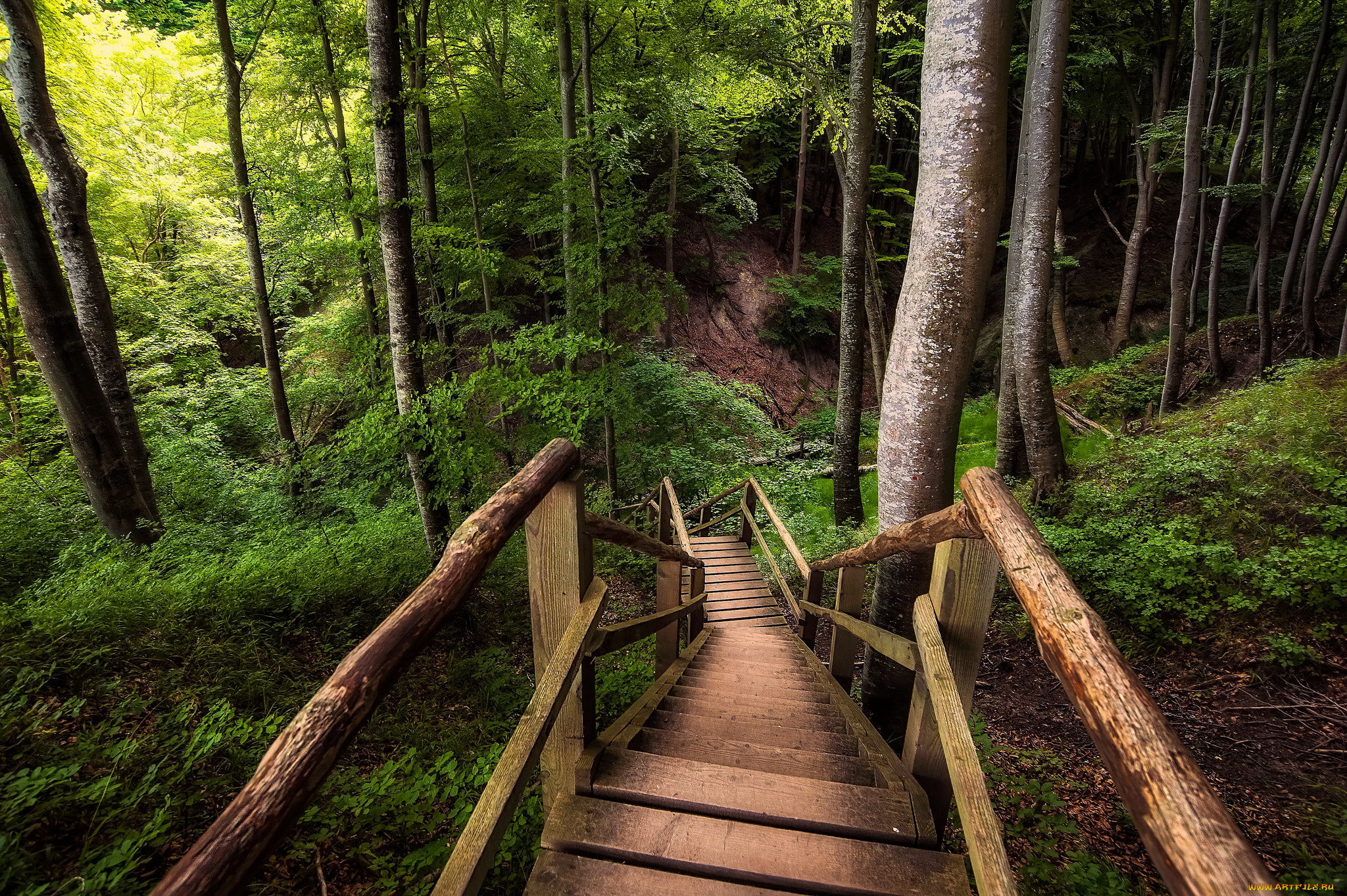 природа, дороги, тракт