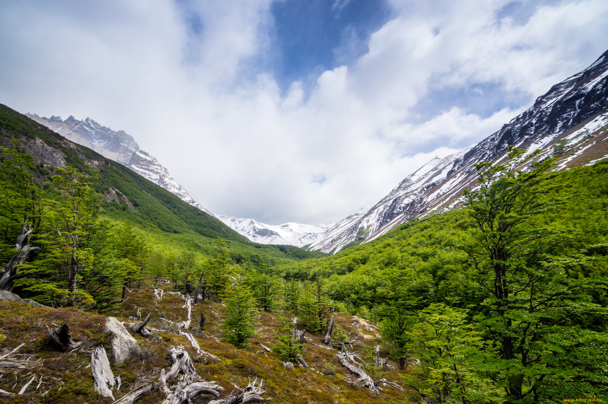 природа, горы, простор