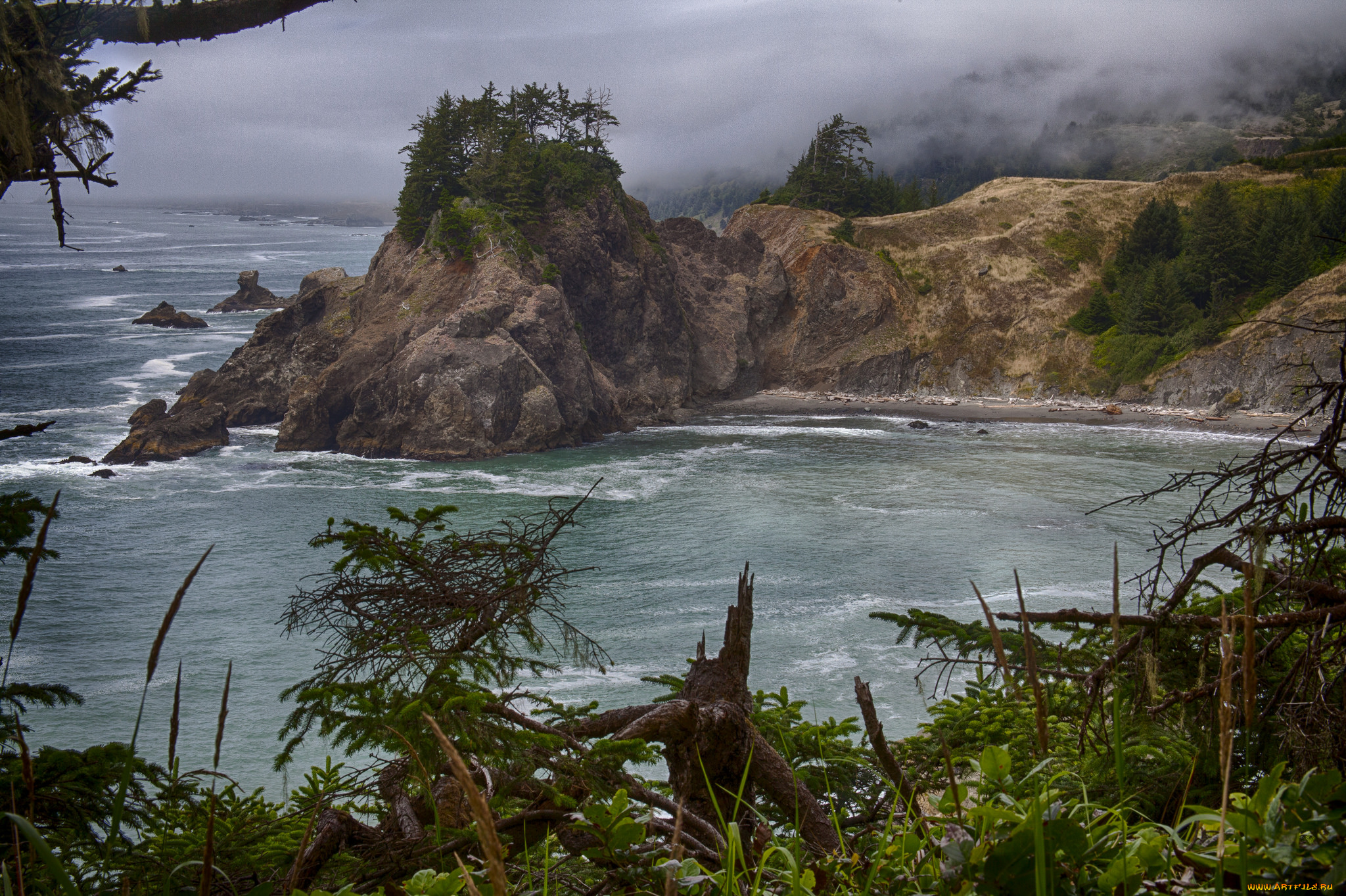 природа, побережье, берег, море