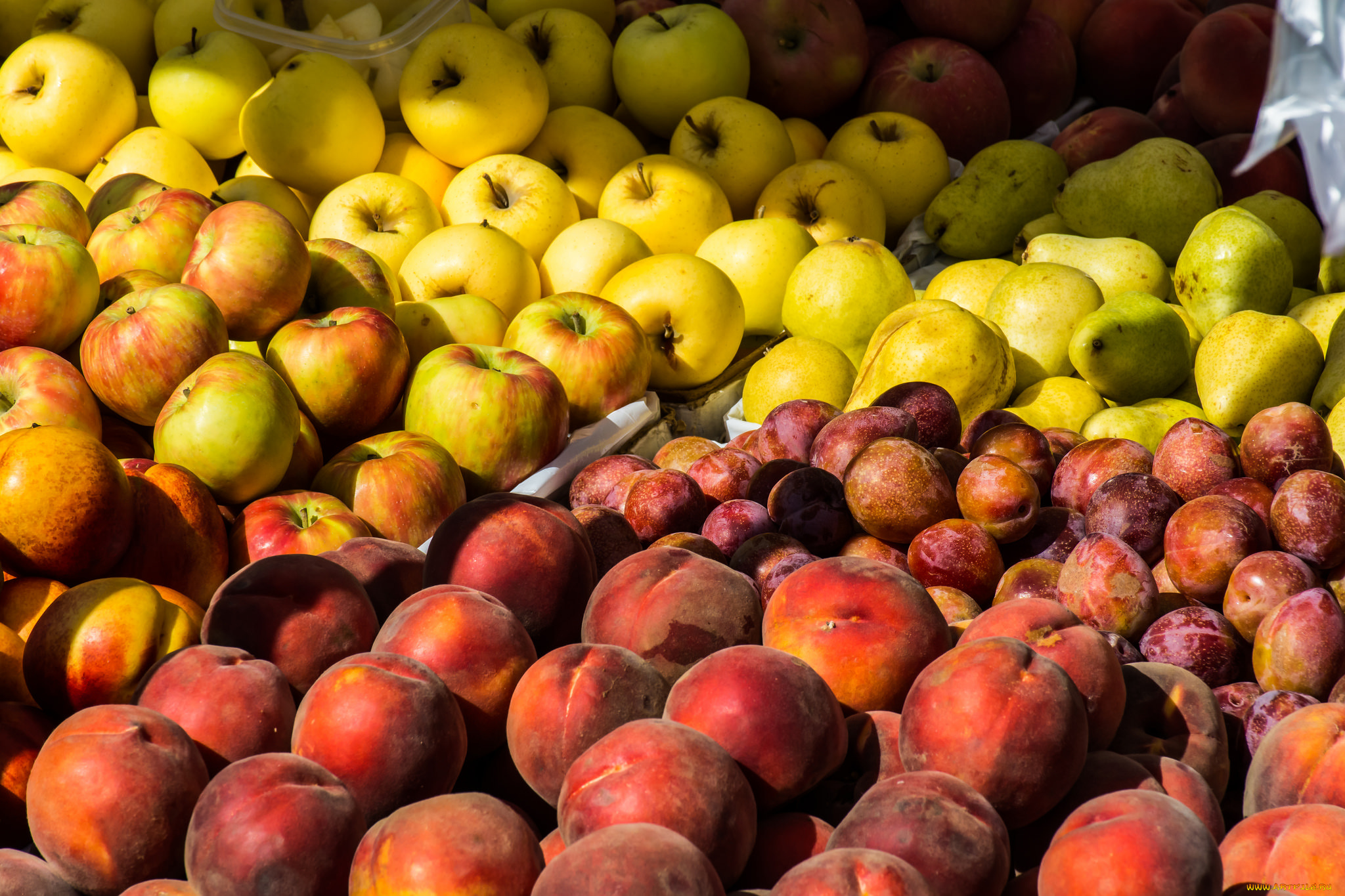 еда, фрукты, , ягоды, плоды