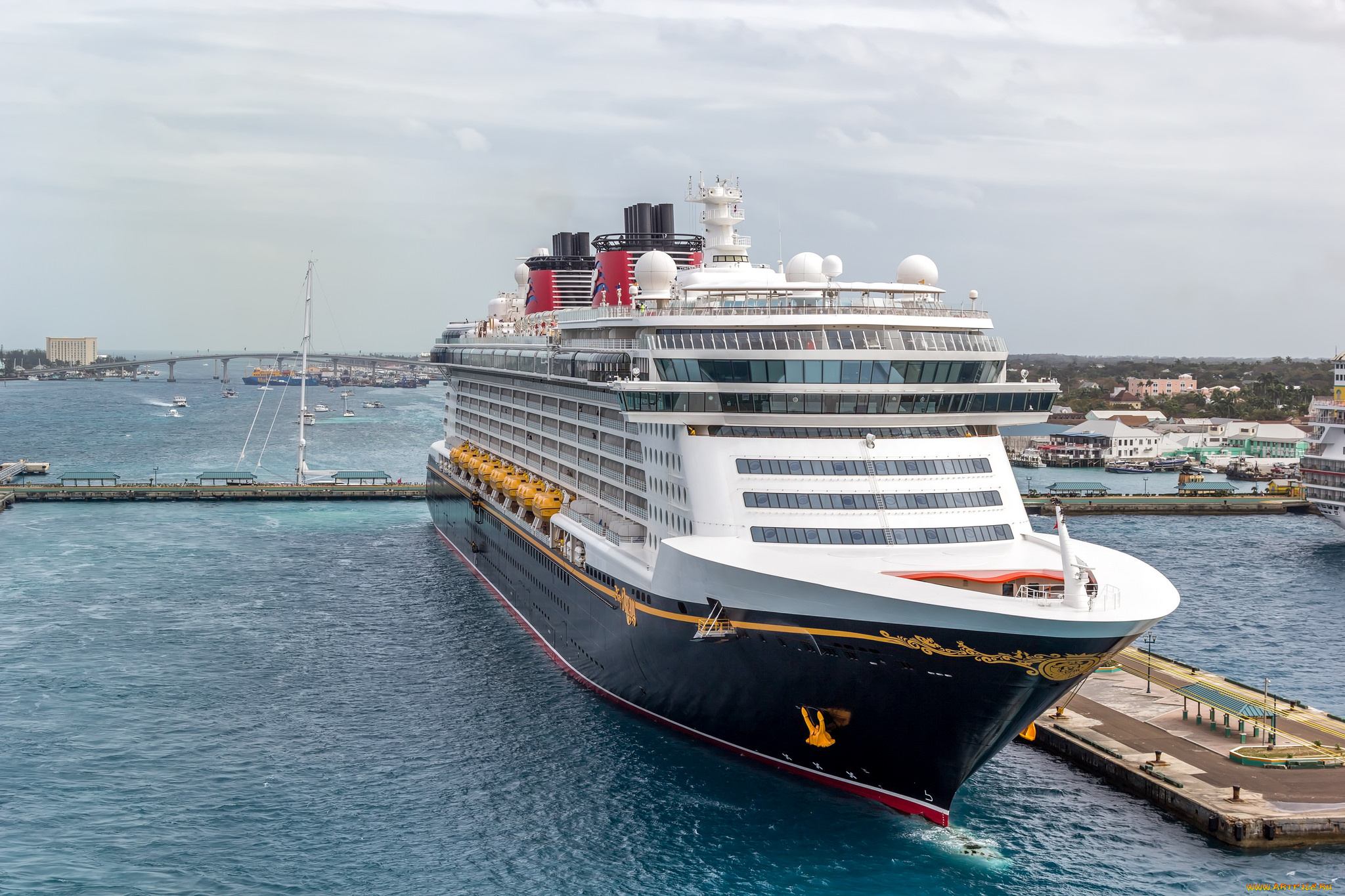 корабли, лайнеры, круиз, лайнер