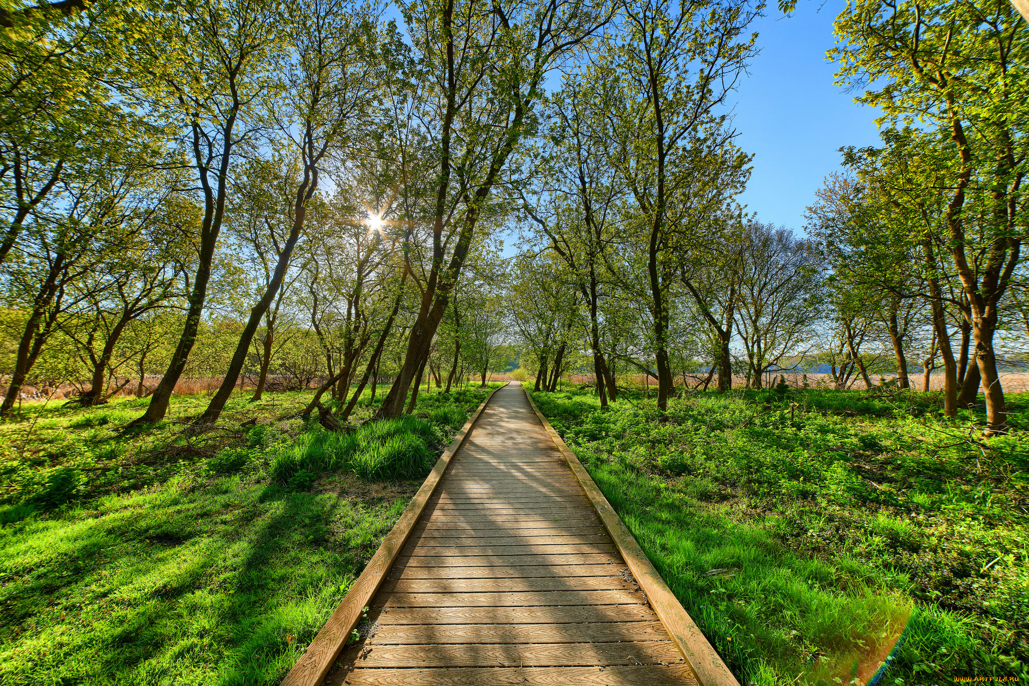 природа, дороги, тракт