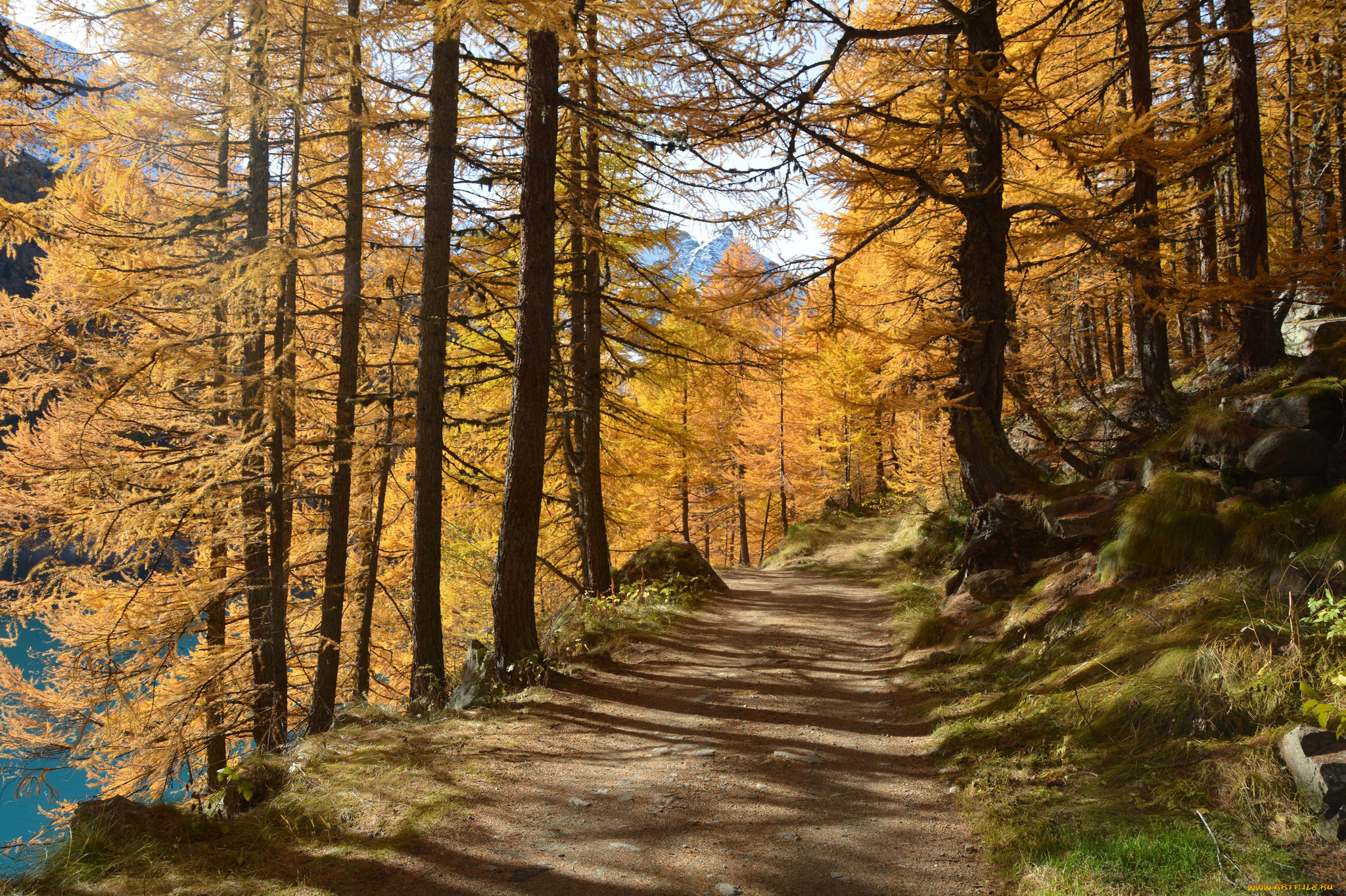 природа, дороги, тракт