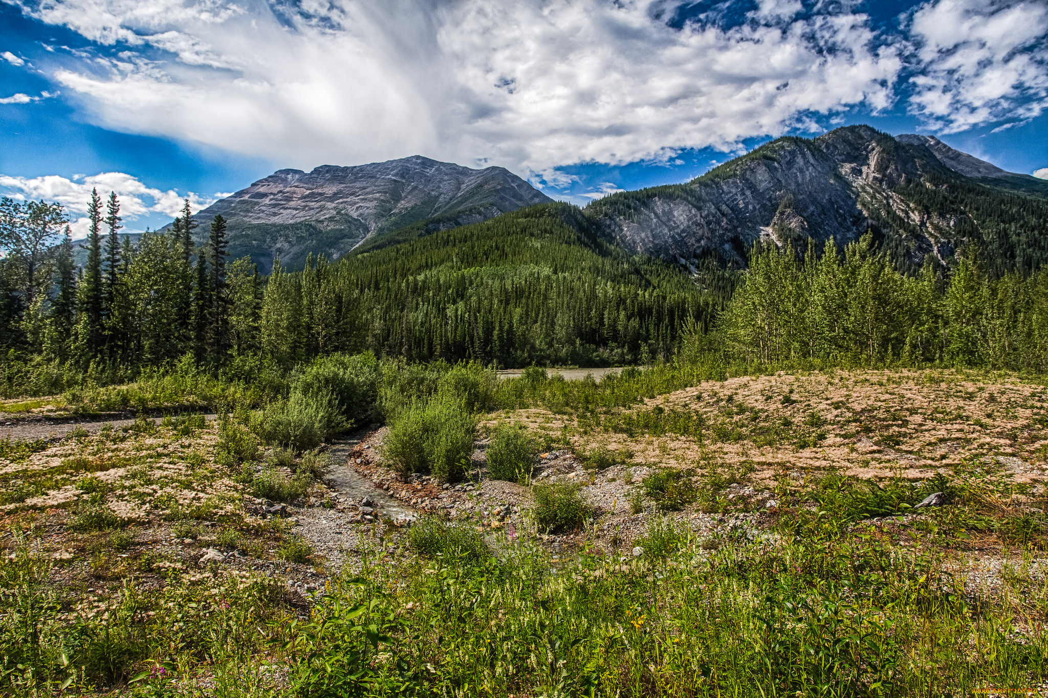 природа, горы, простор