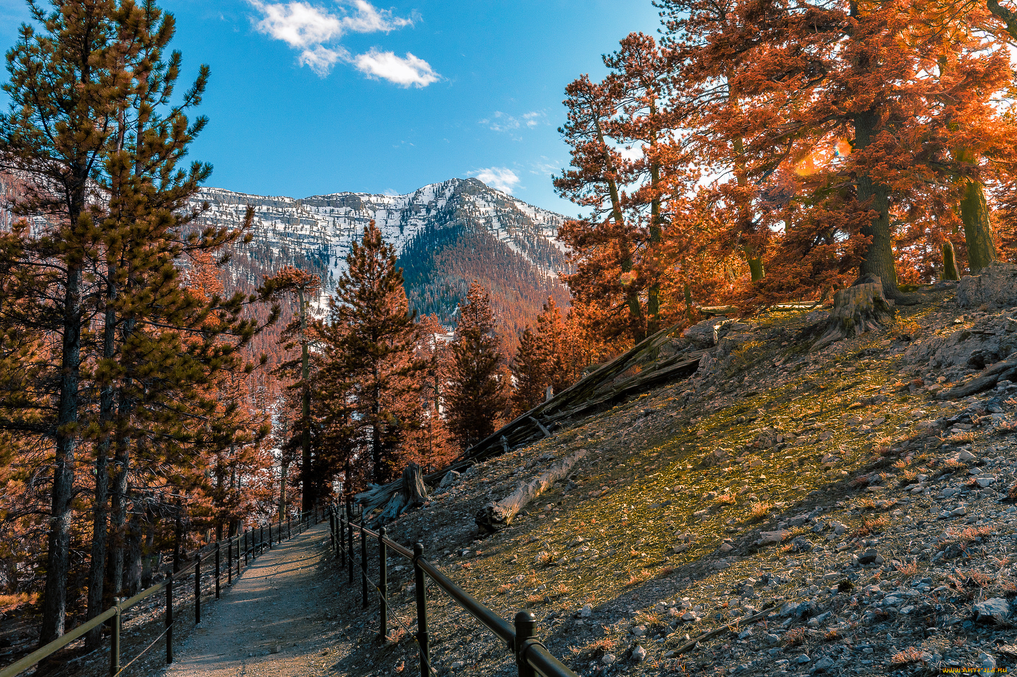 природа, горы, простор