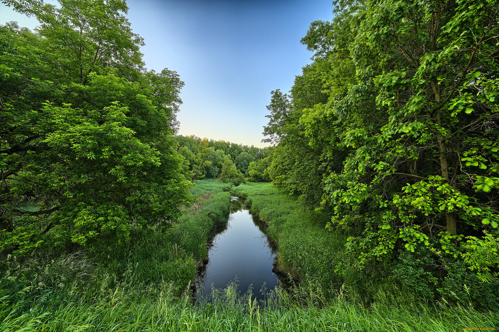 природа, реки, озера, горы, река, лес