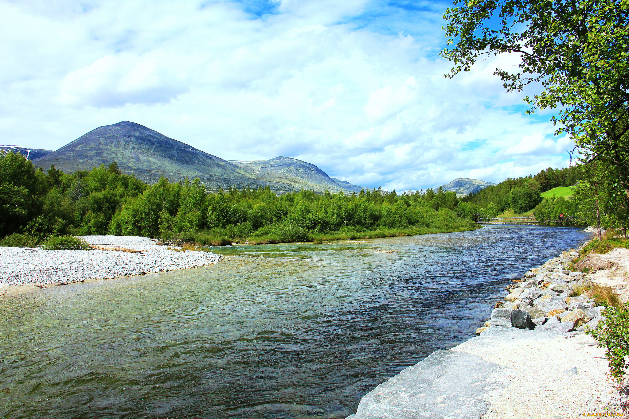 природа, реки, озера, лес, река