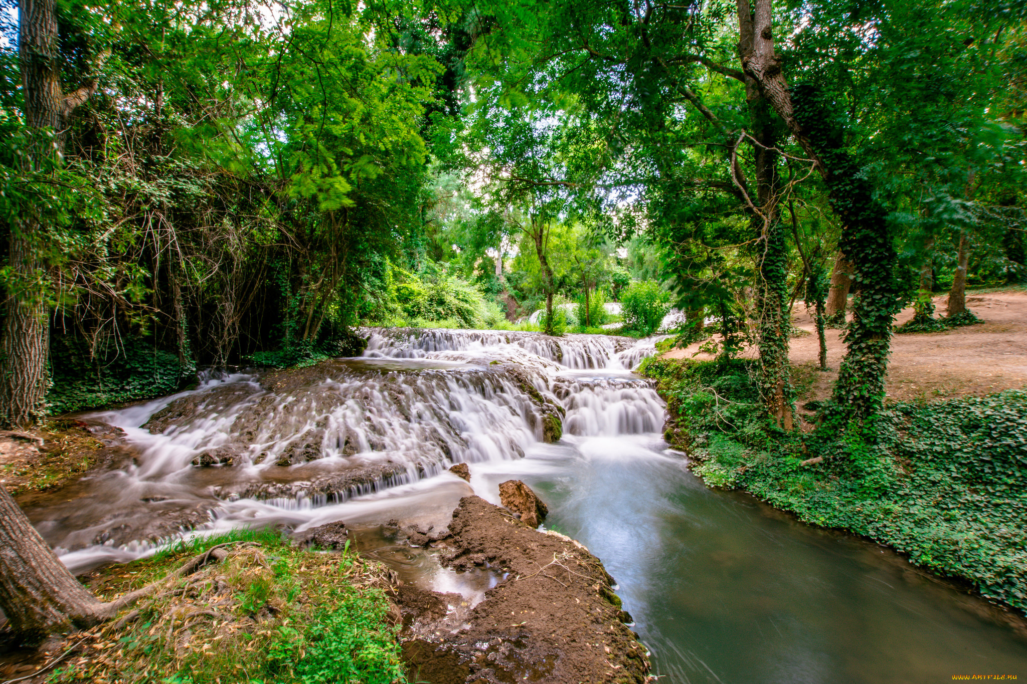 природа, реки, озера, лес, река