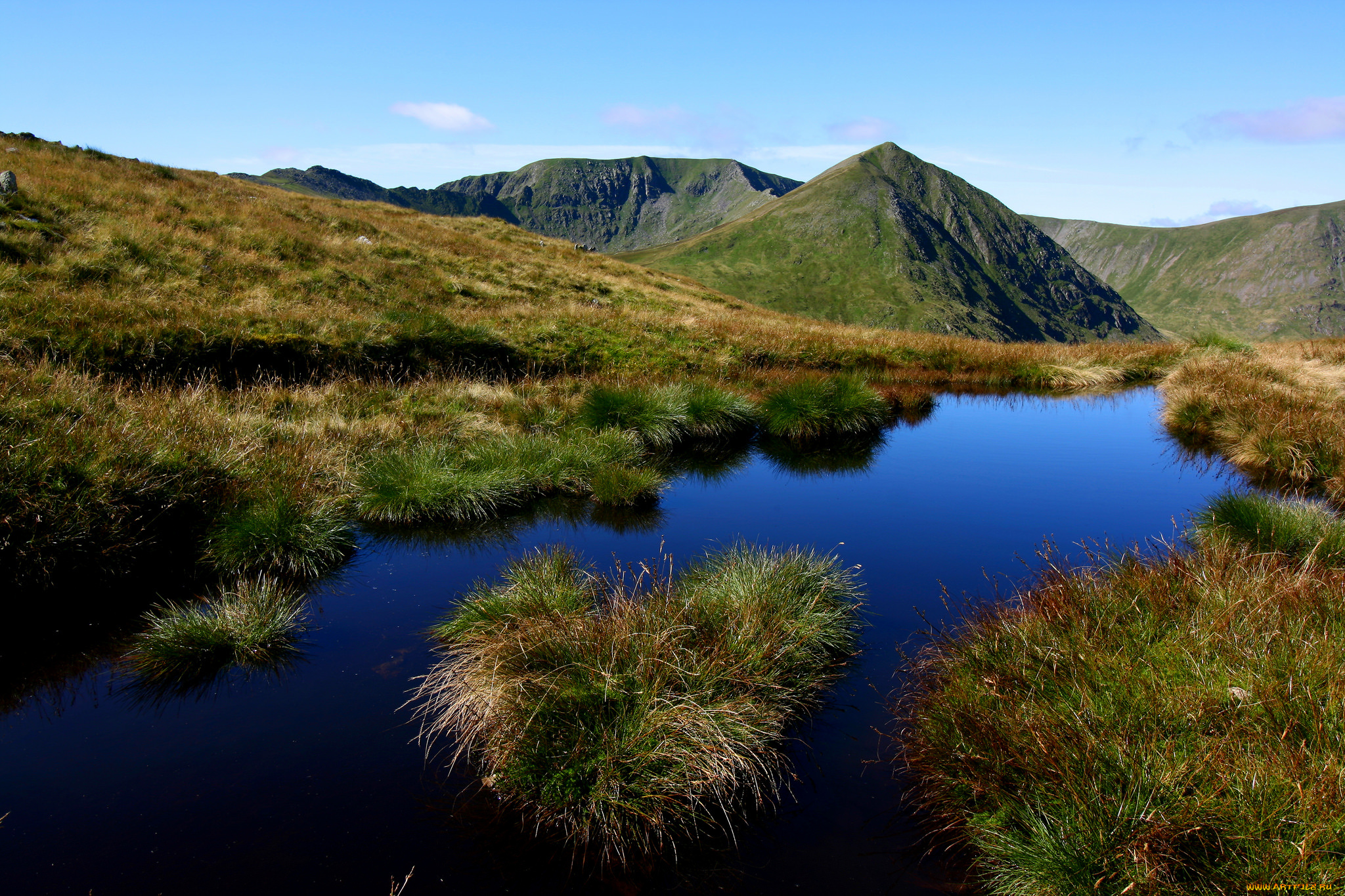 природа, реки, озера, лес, река