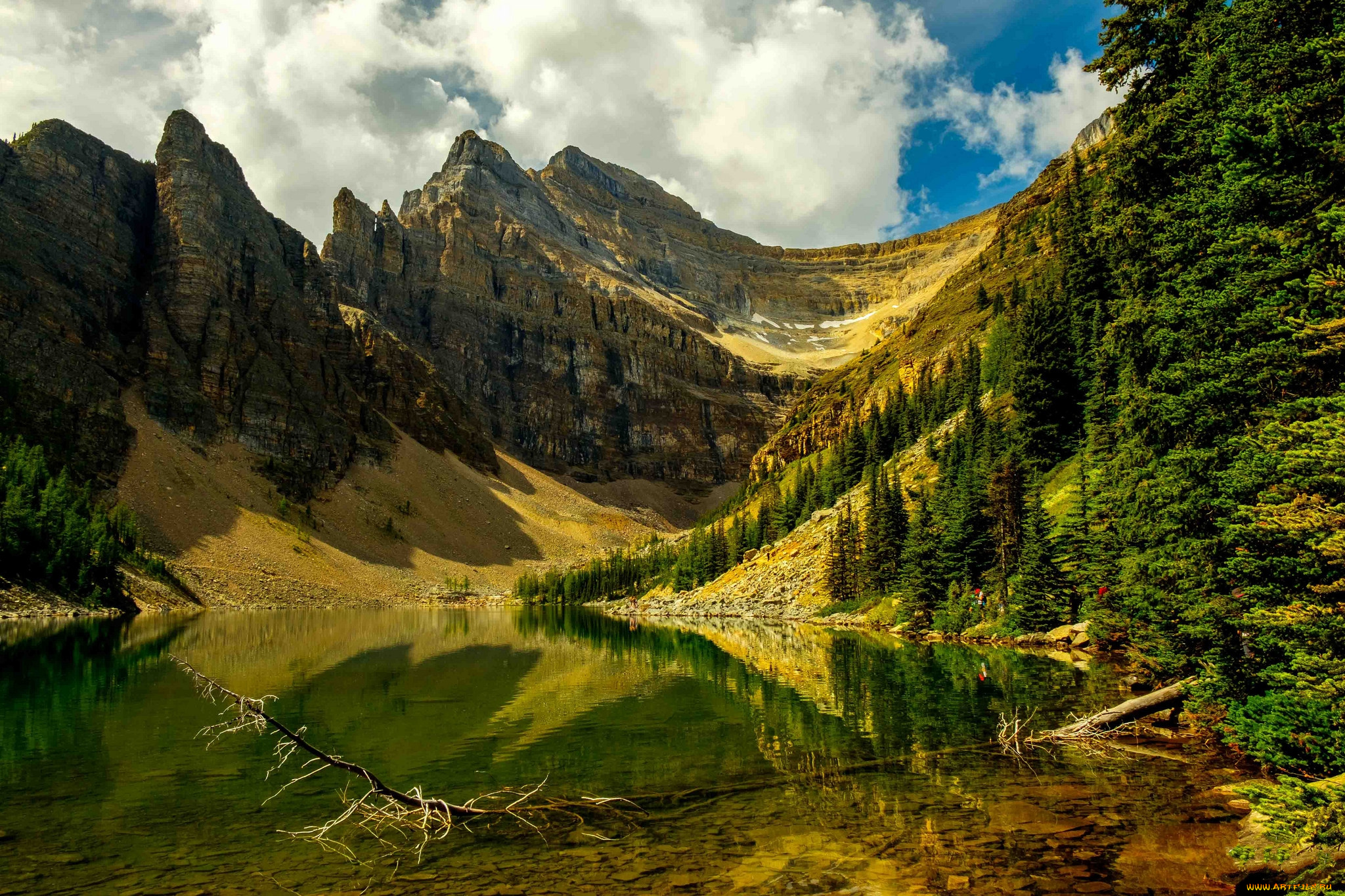 природа, реки, озера, река, лес