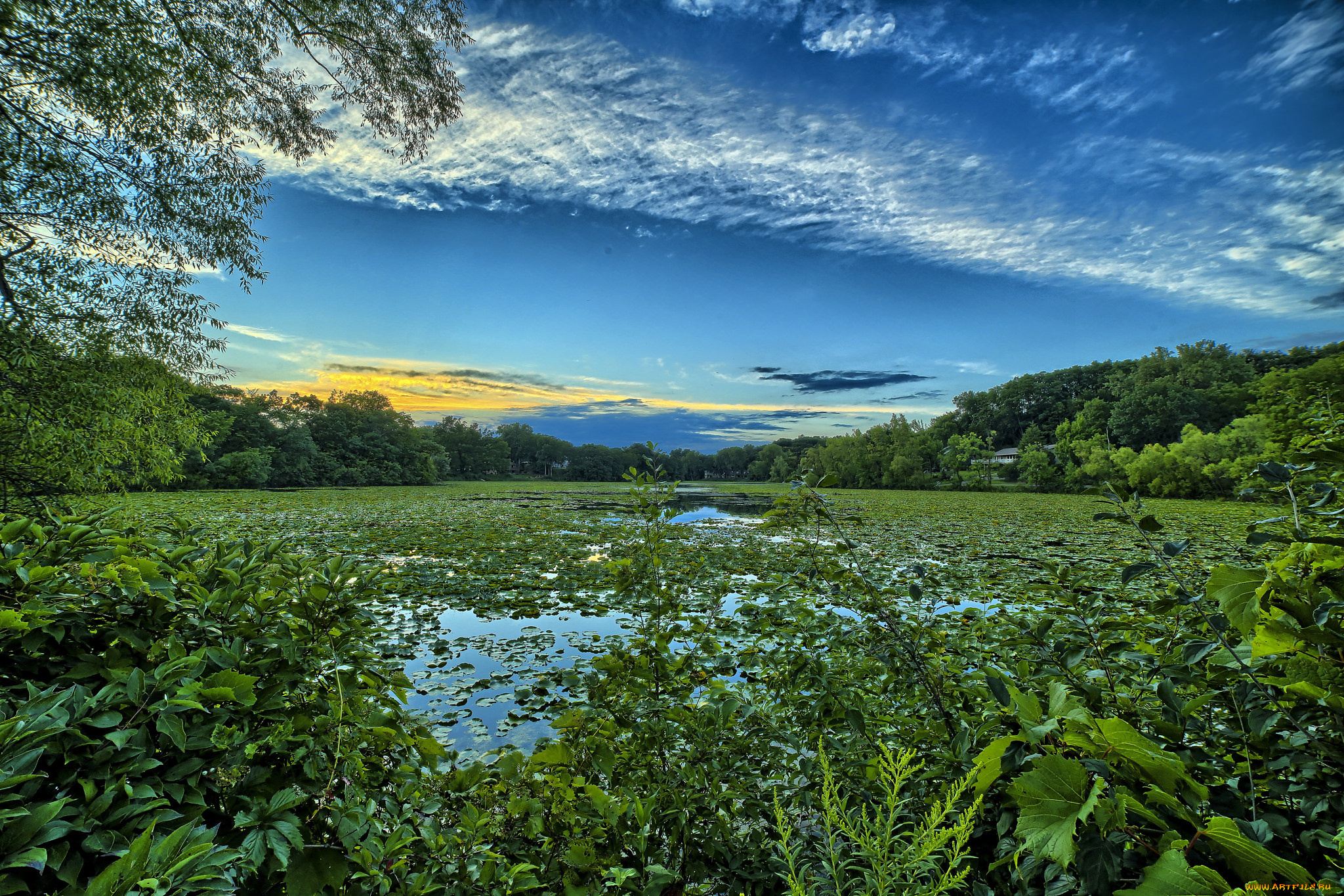 природа, реки, озера, река, лес