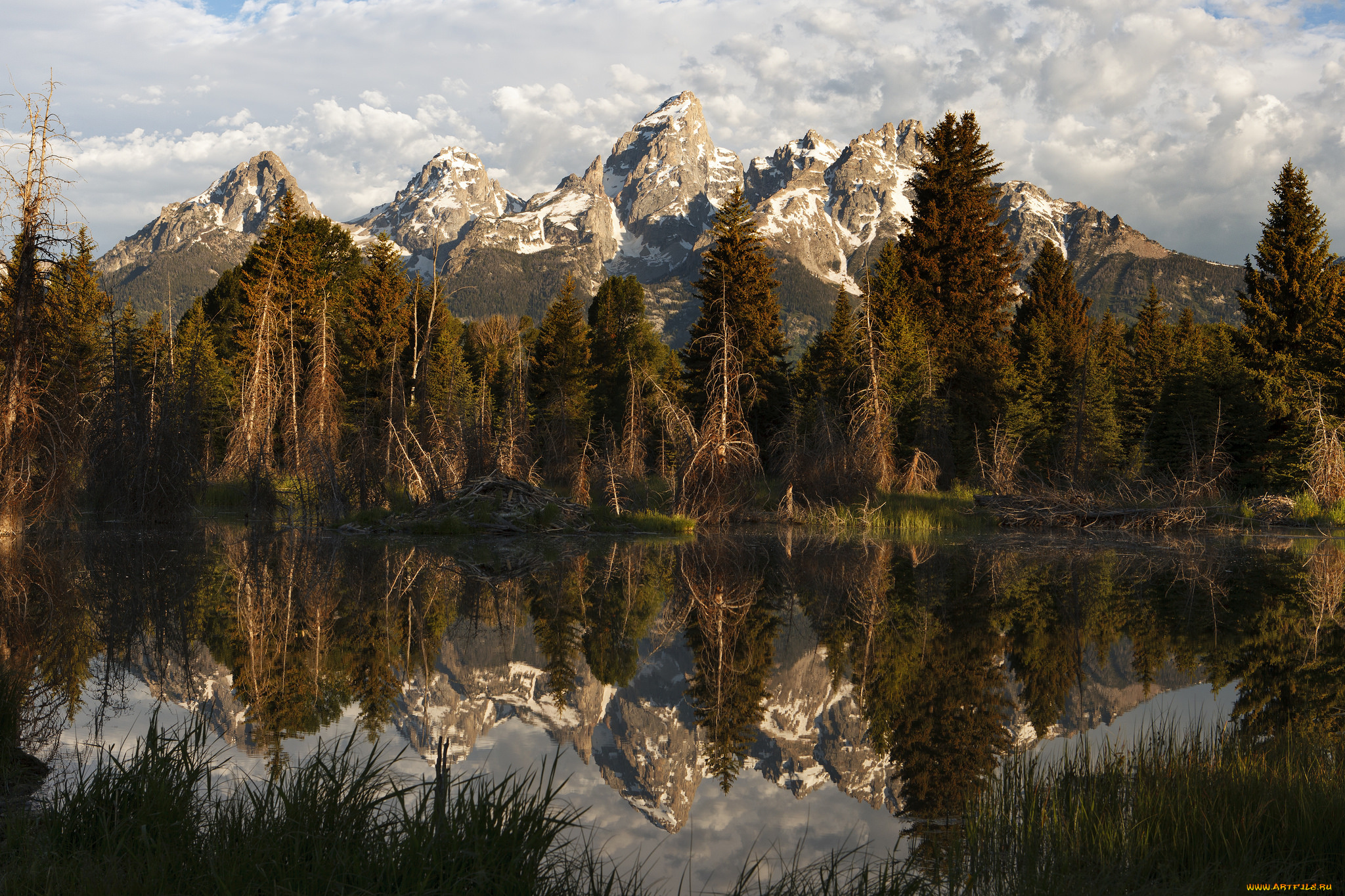 природа, реки, озера, река, лес