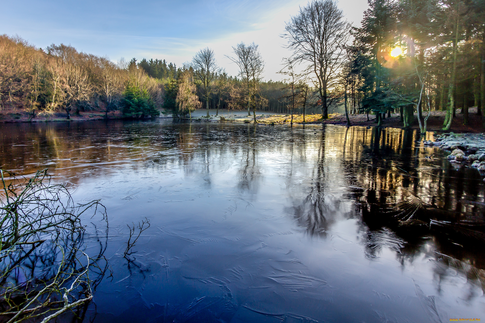 природа, реки, озера, река, лес