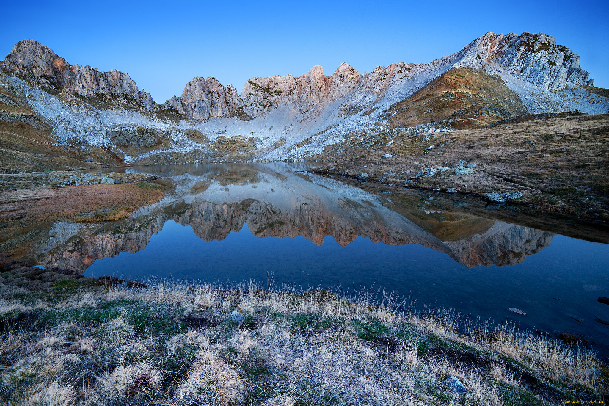 природа, реки, озера, река, лес