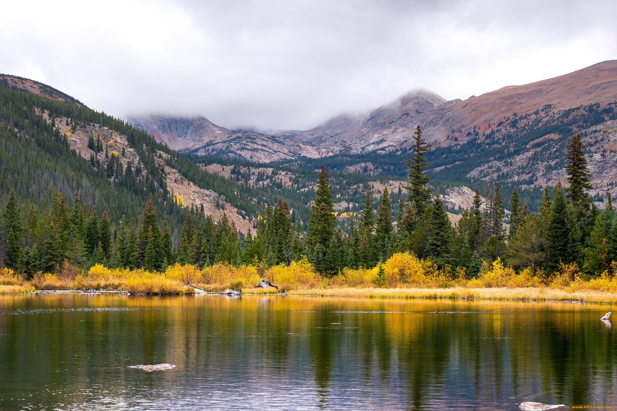 природа, реки, озера, река, лес