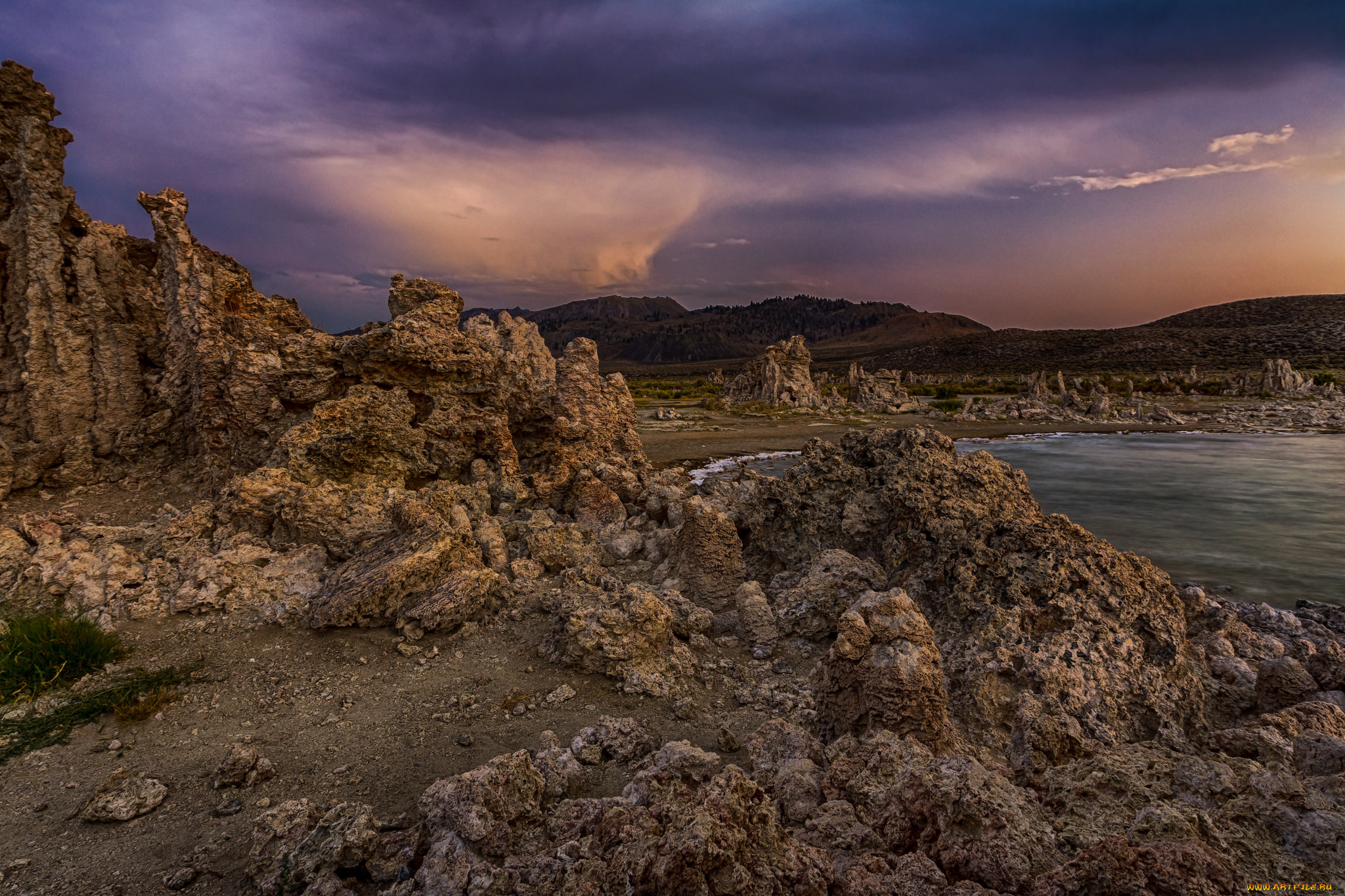 природа, реки, озера, река, лес