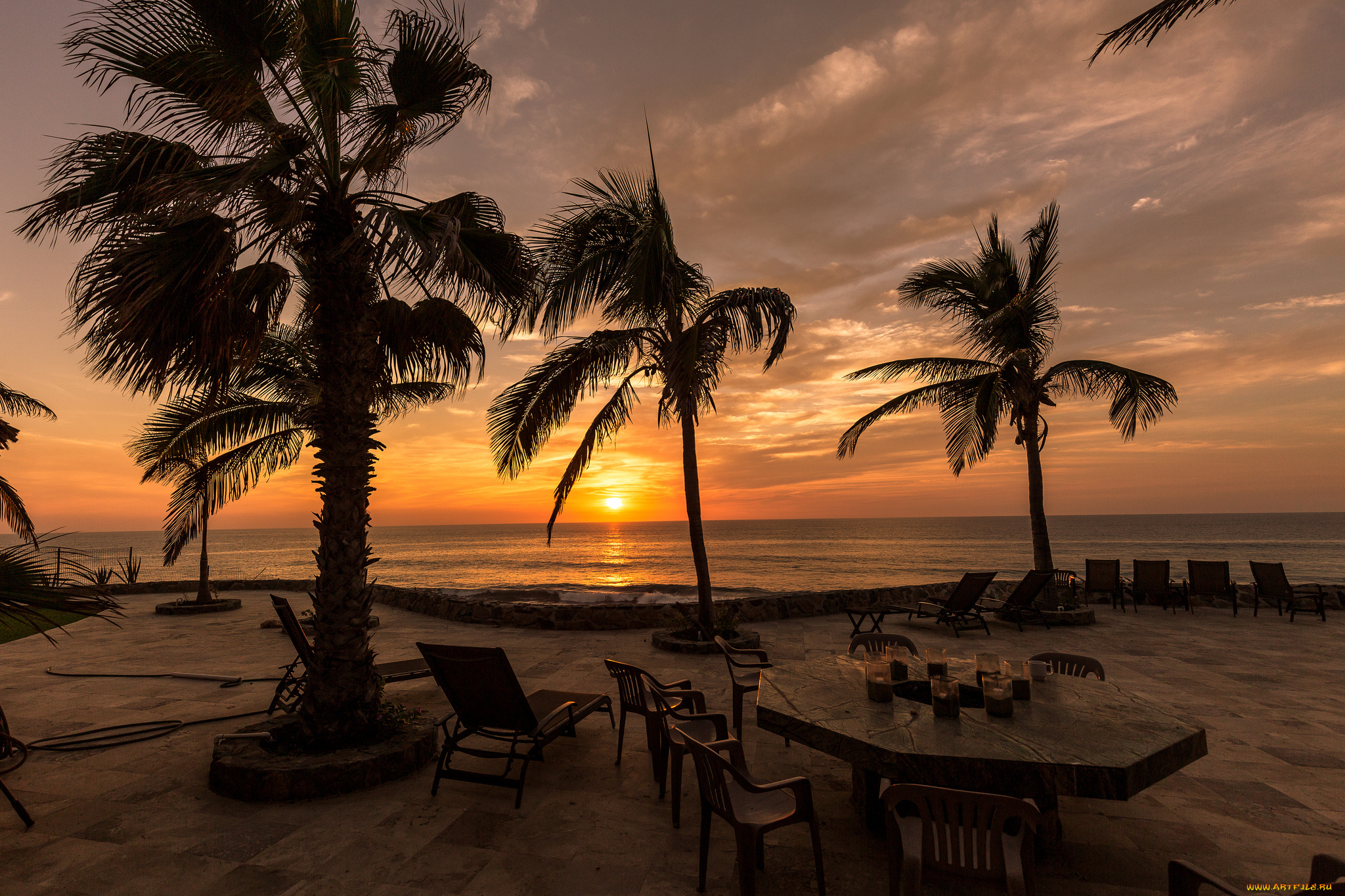 природа, тропики, курорт