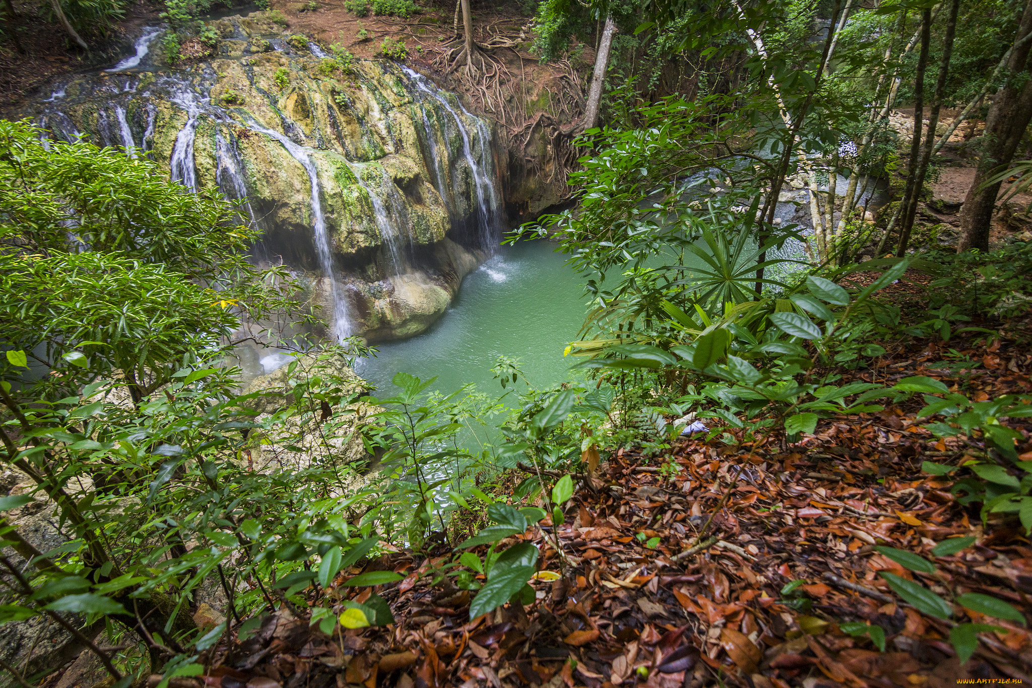 природа, водопады, водопад, река, лес