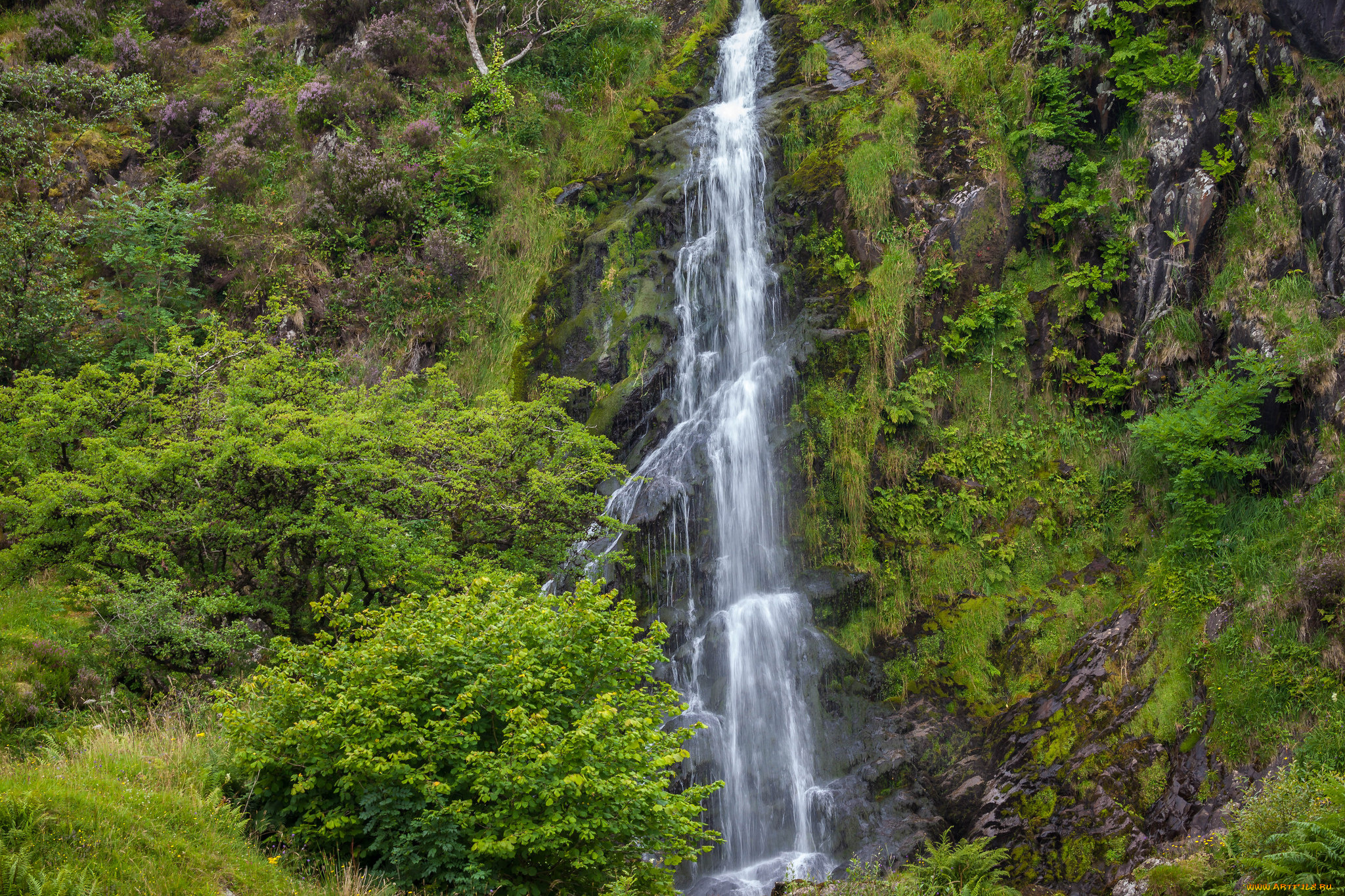 природа, водопады, водопад, река, лес