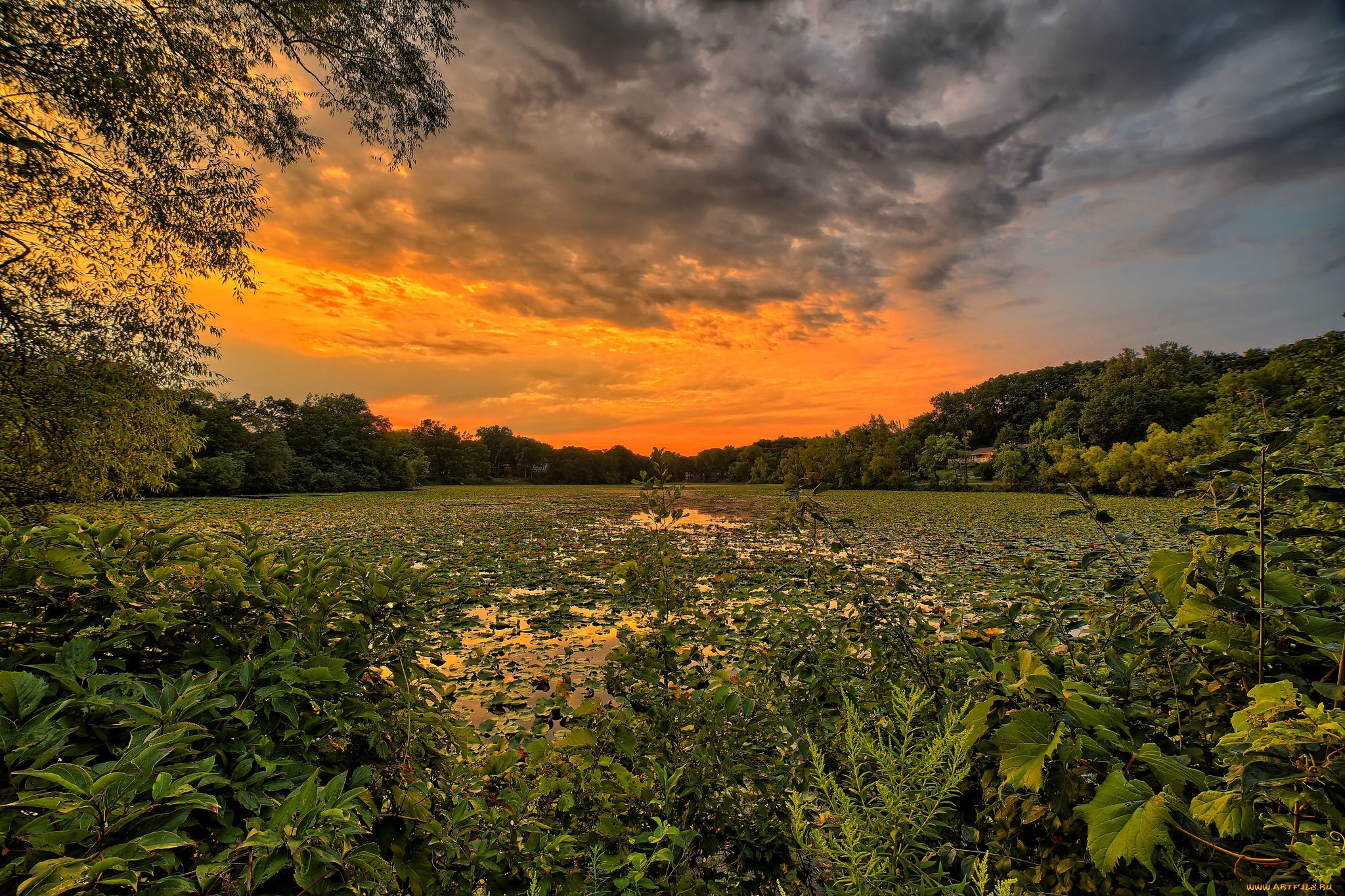 природа, восходы, закаты, рассвет