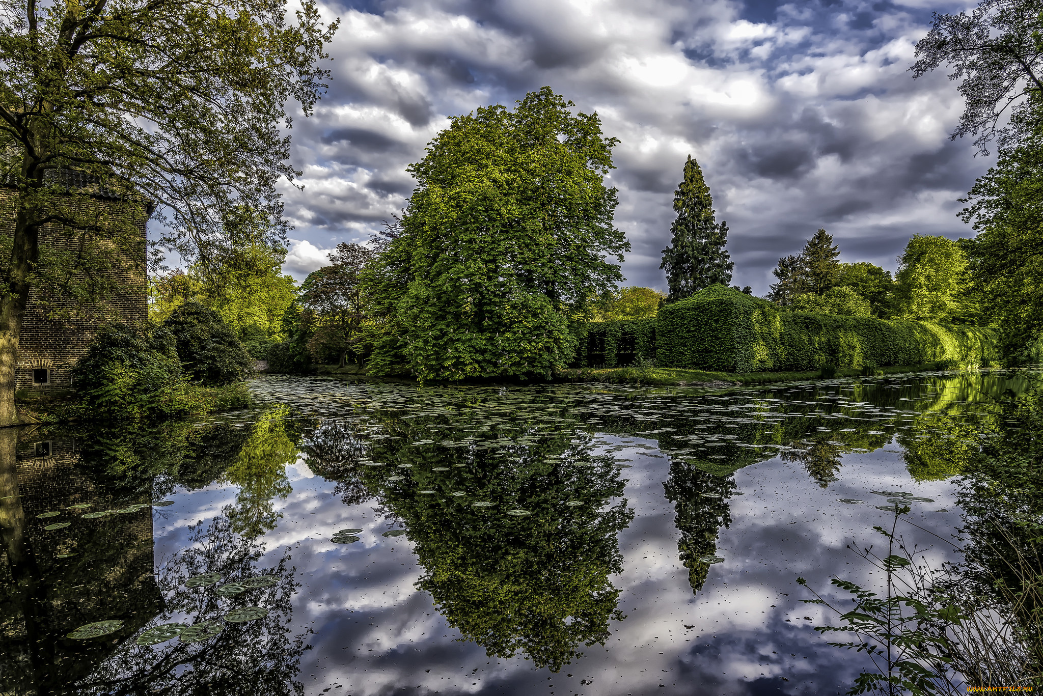 природа, реки, озера, лес, река