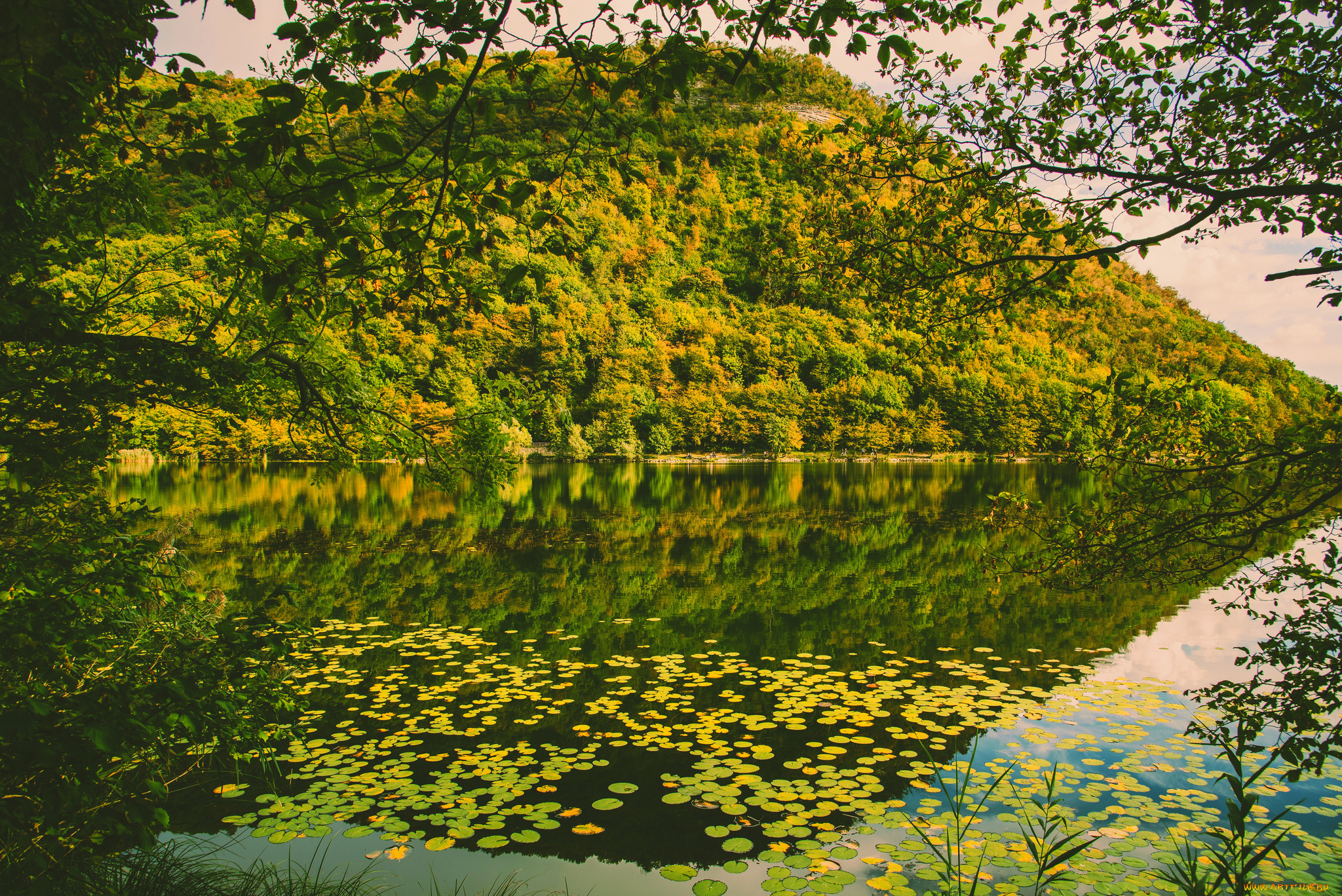 природа, реки, озера, река, лес