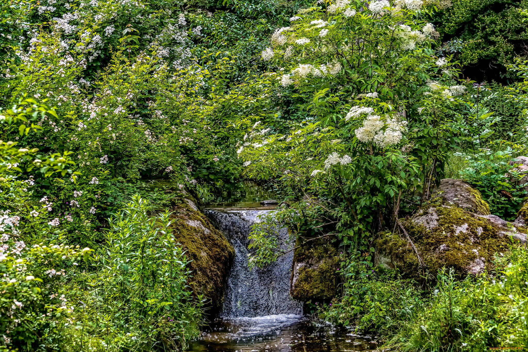природа, водопады, река, лес, водопад