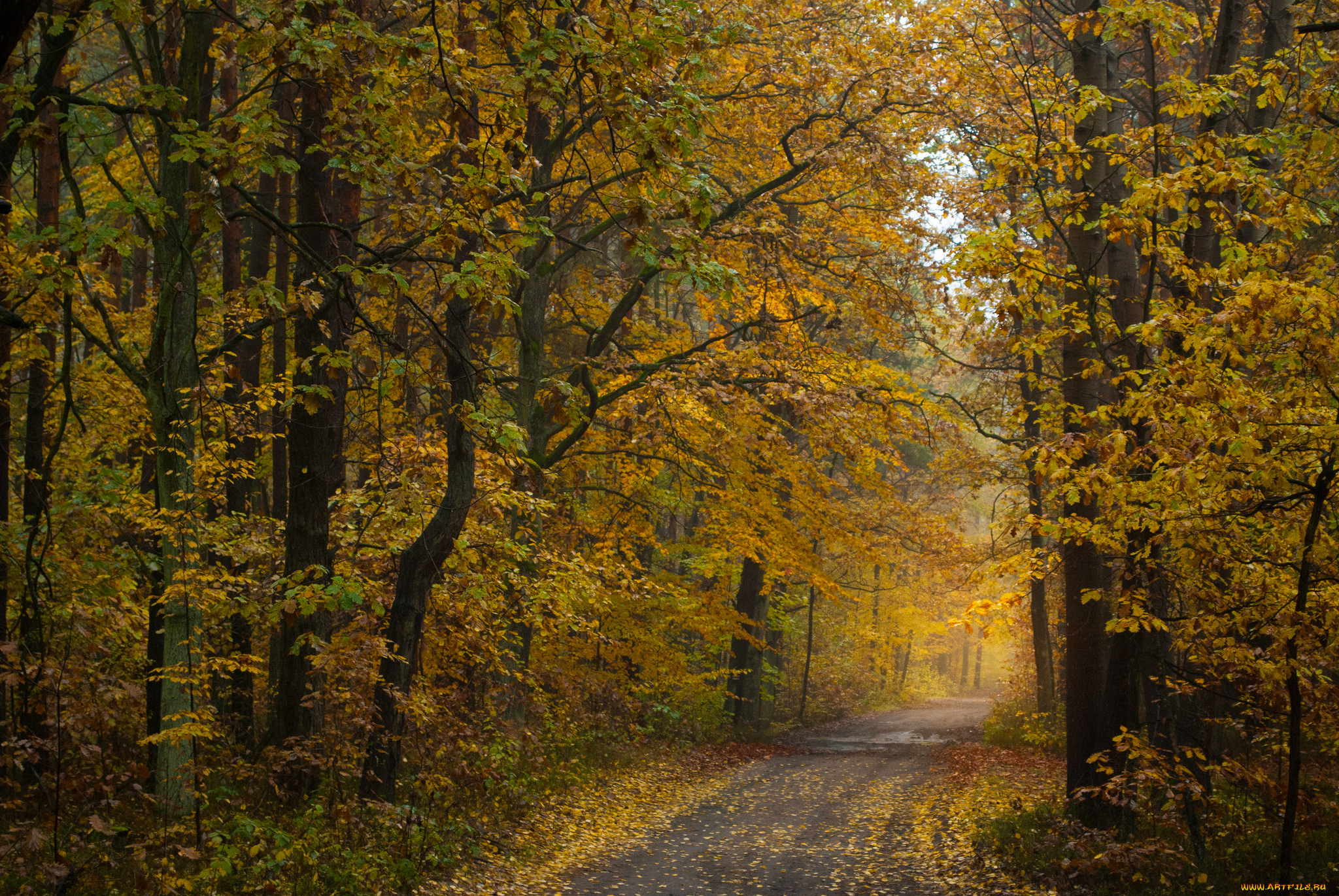 природа, дороги, тракт