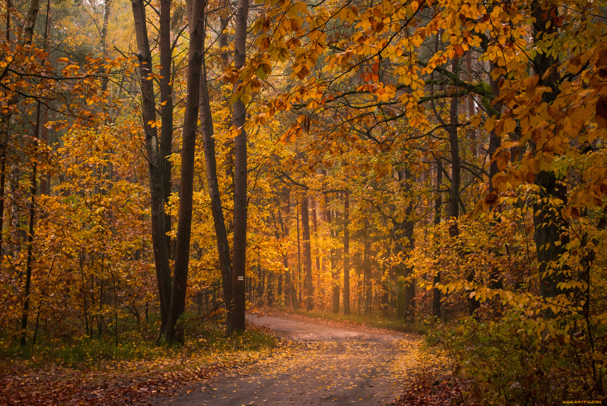 природа, дороги, тракт