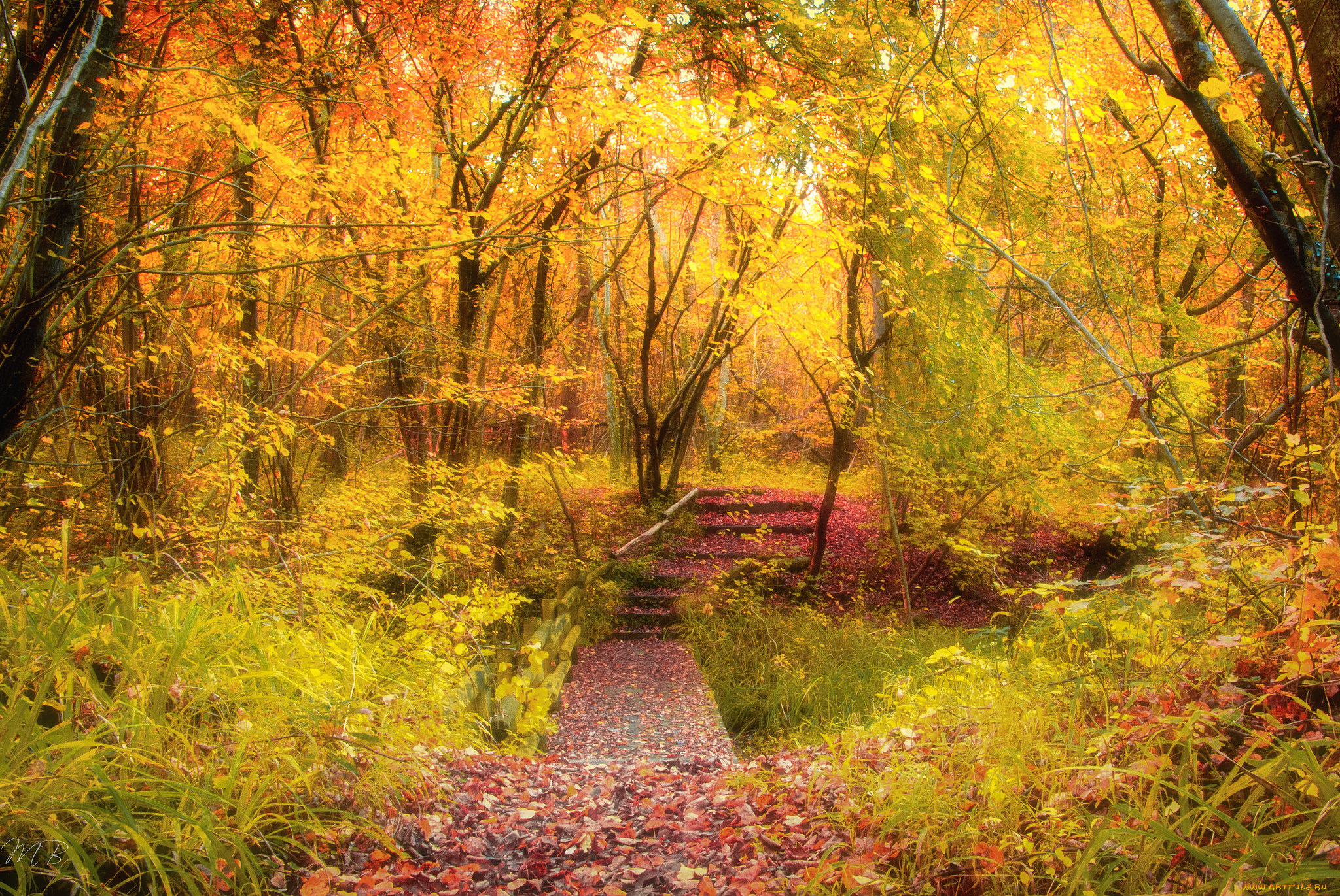 природа, дороги, тракт