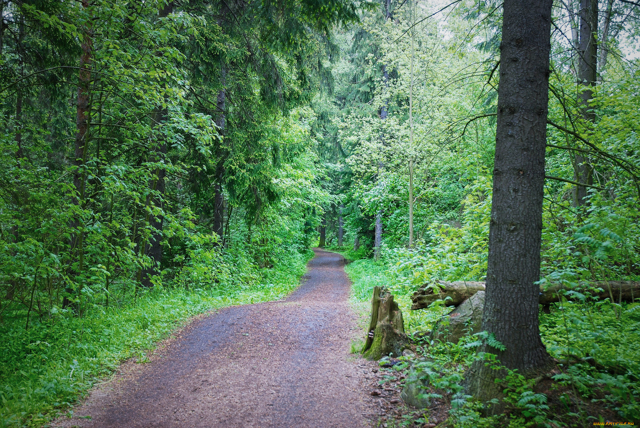 природа, дороги, тракт