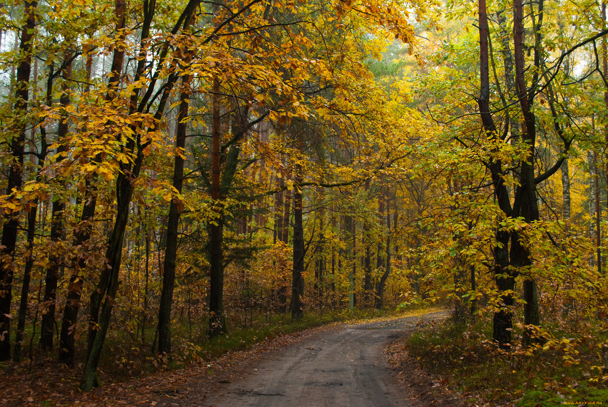 природа, дороги, тракт