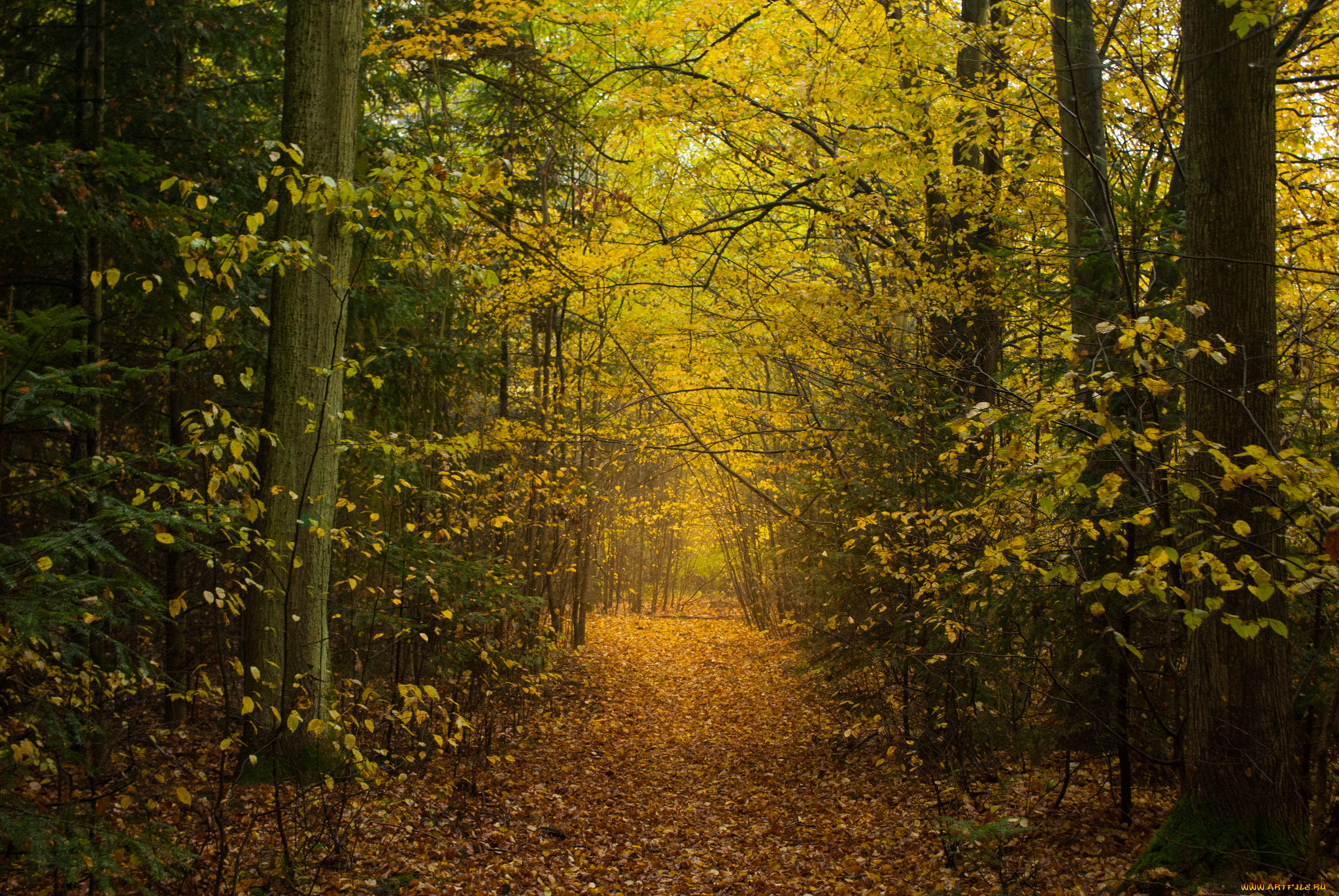 природа, дороги, тракт