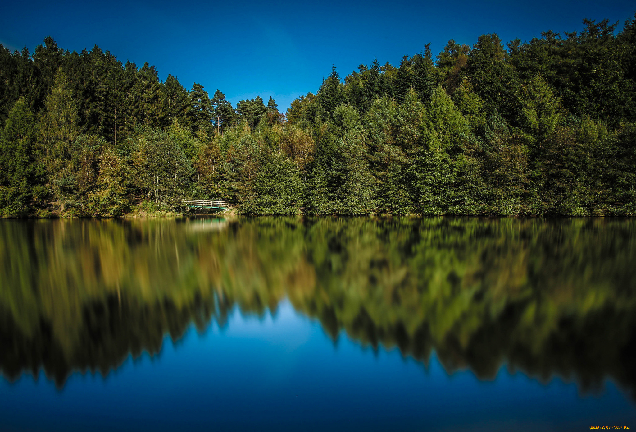 природа, реки, озера, река, лес