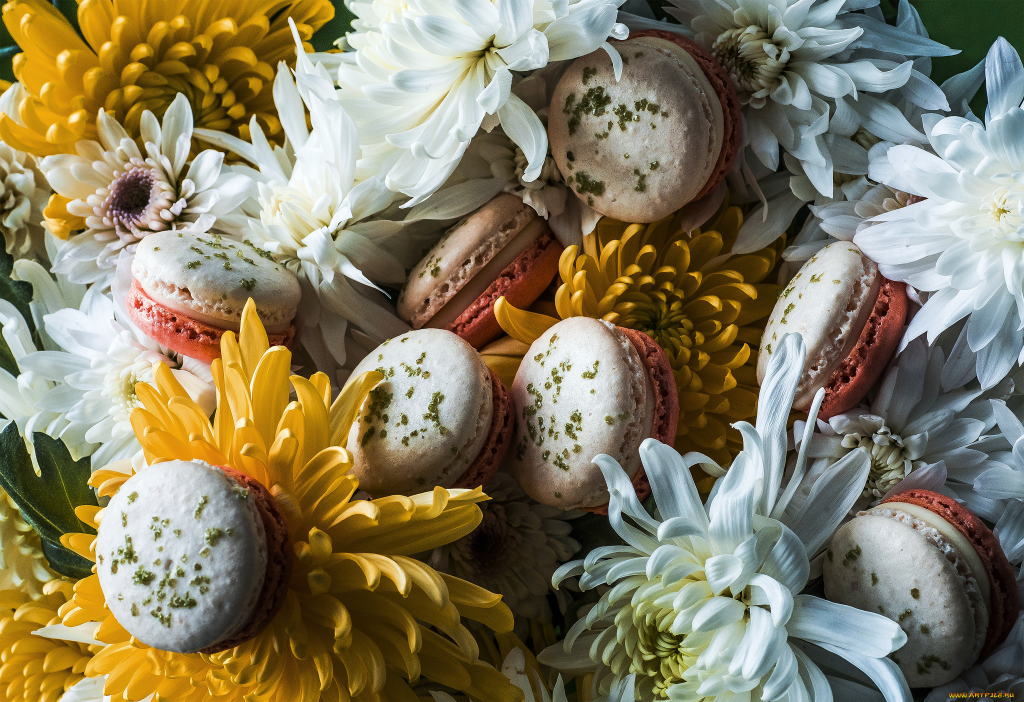 еда, макаруны, цветы, пирожные