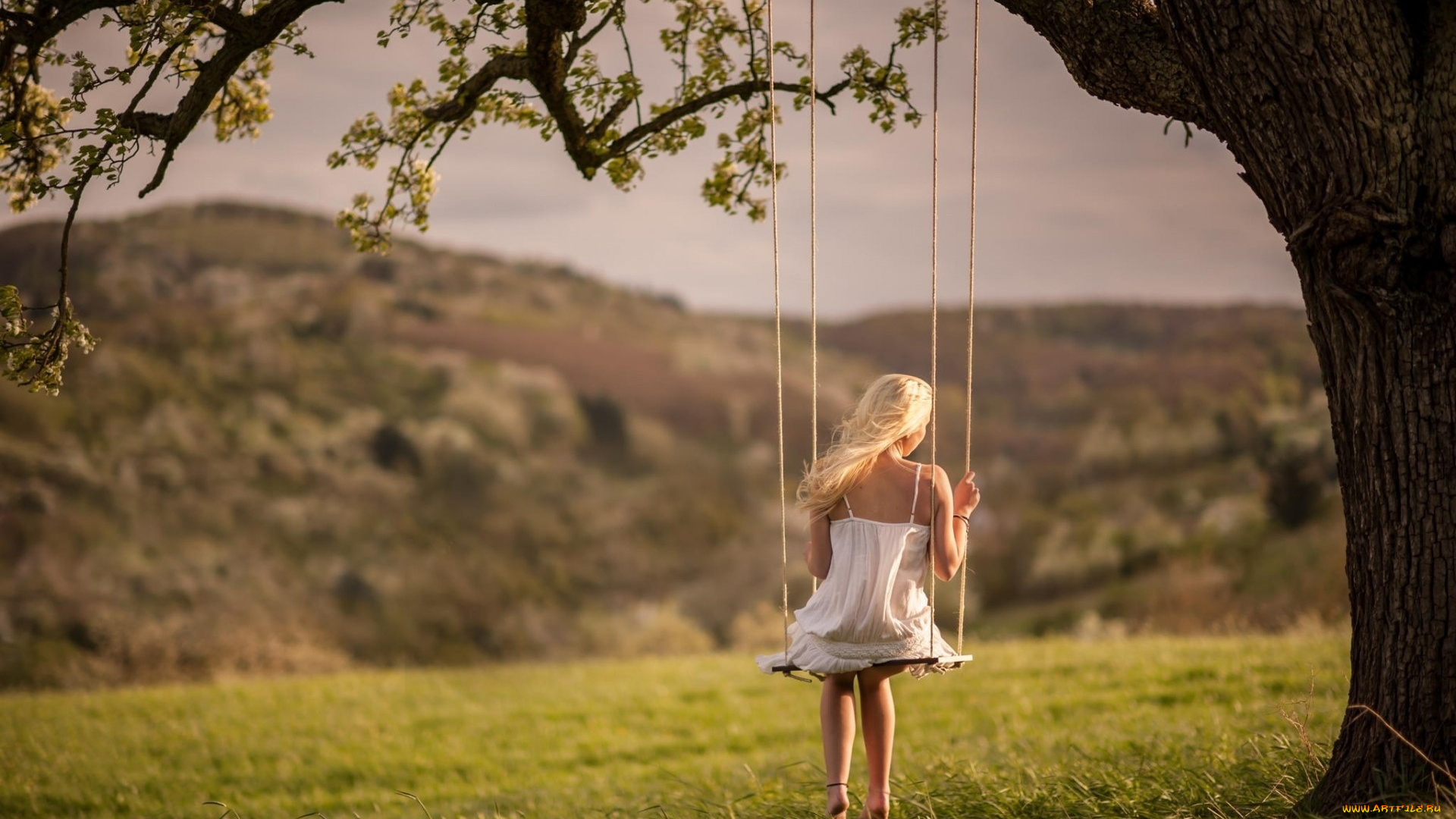 девушка, девушки, -unsort, , блондинки, , светловолосые, модель